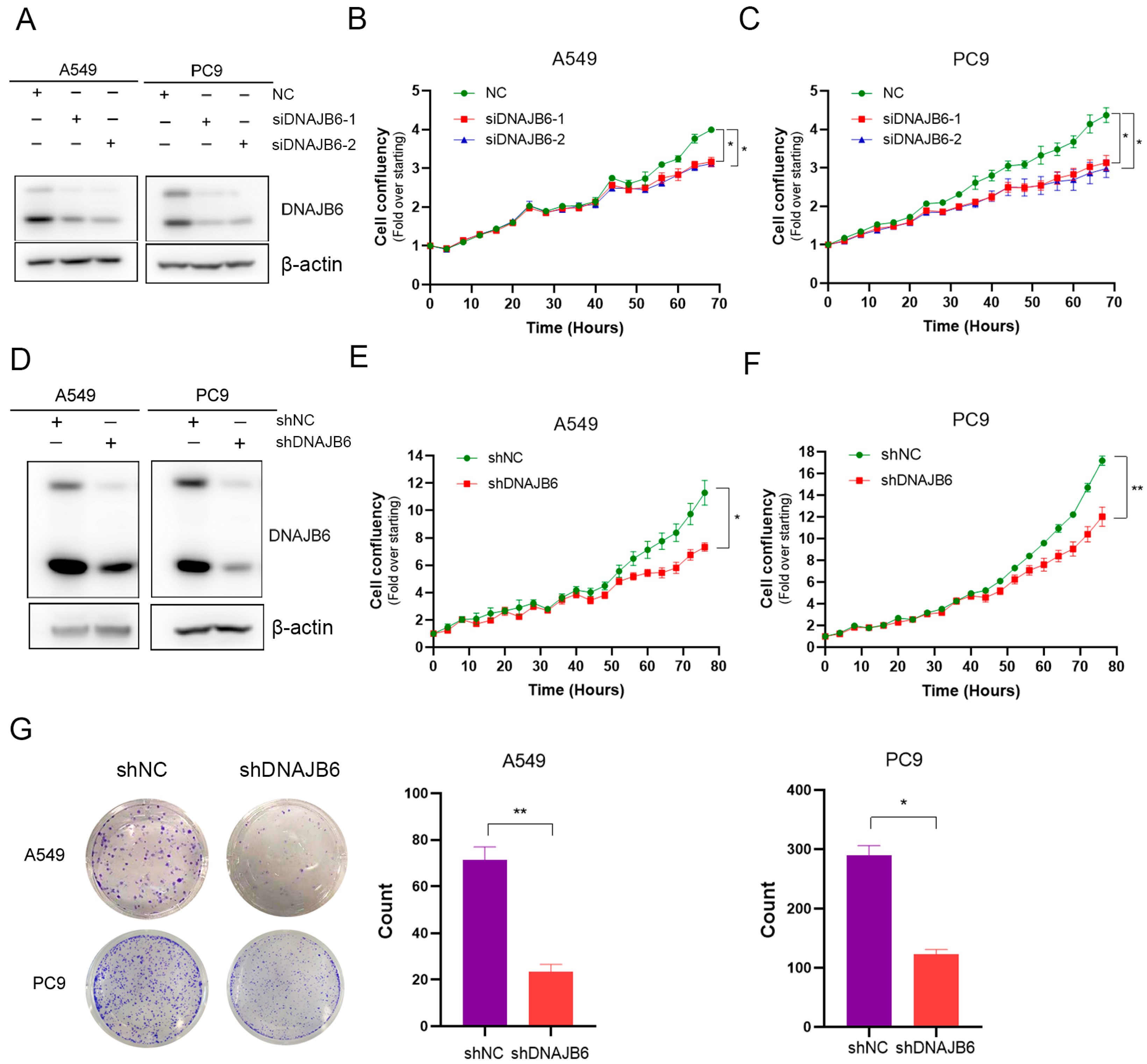 Biomedicines 12 01981 g007