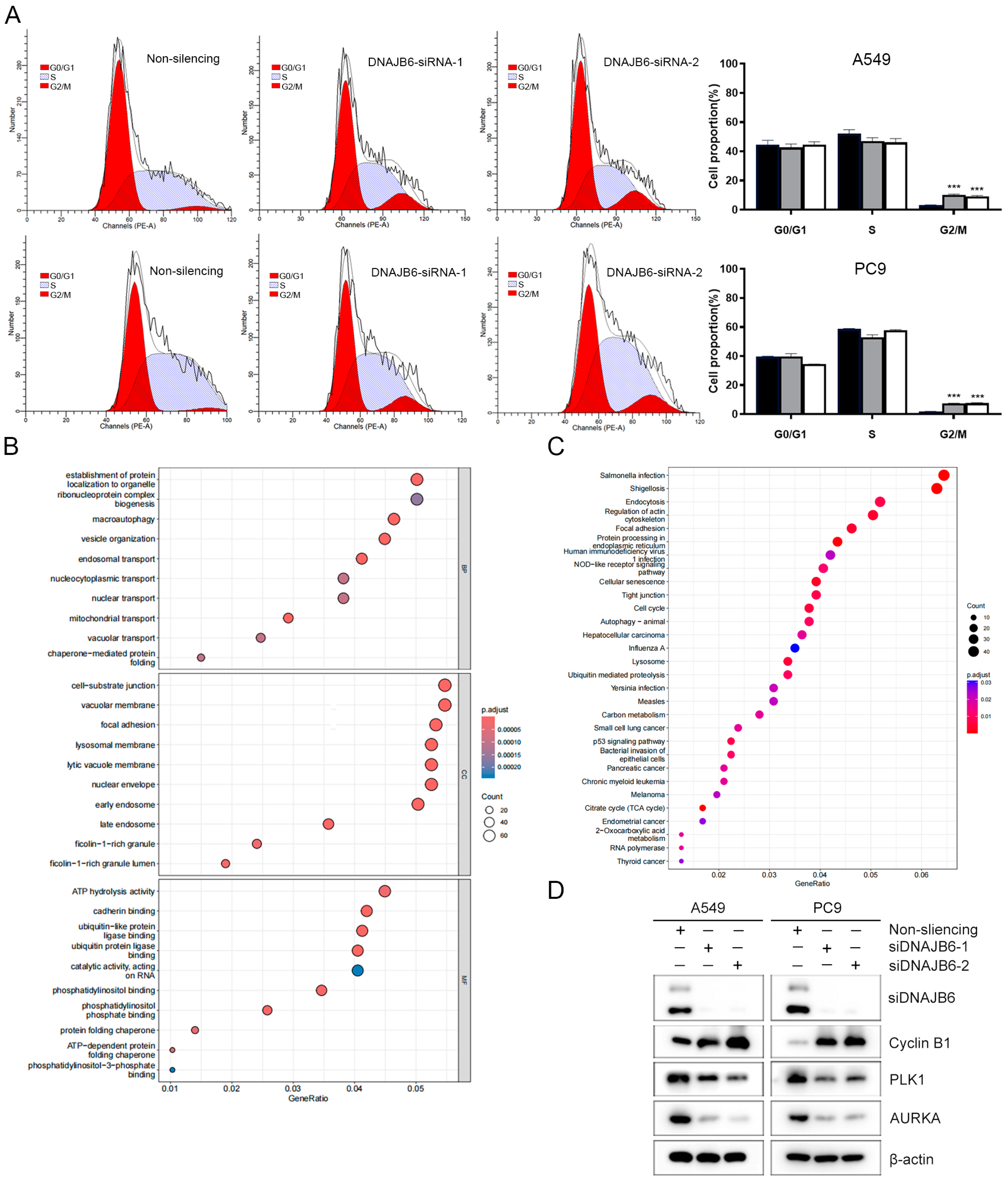 Biomedicines 12 01981 g008