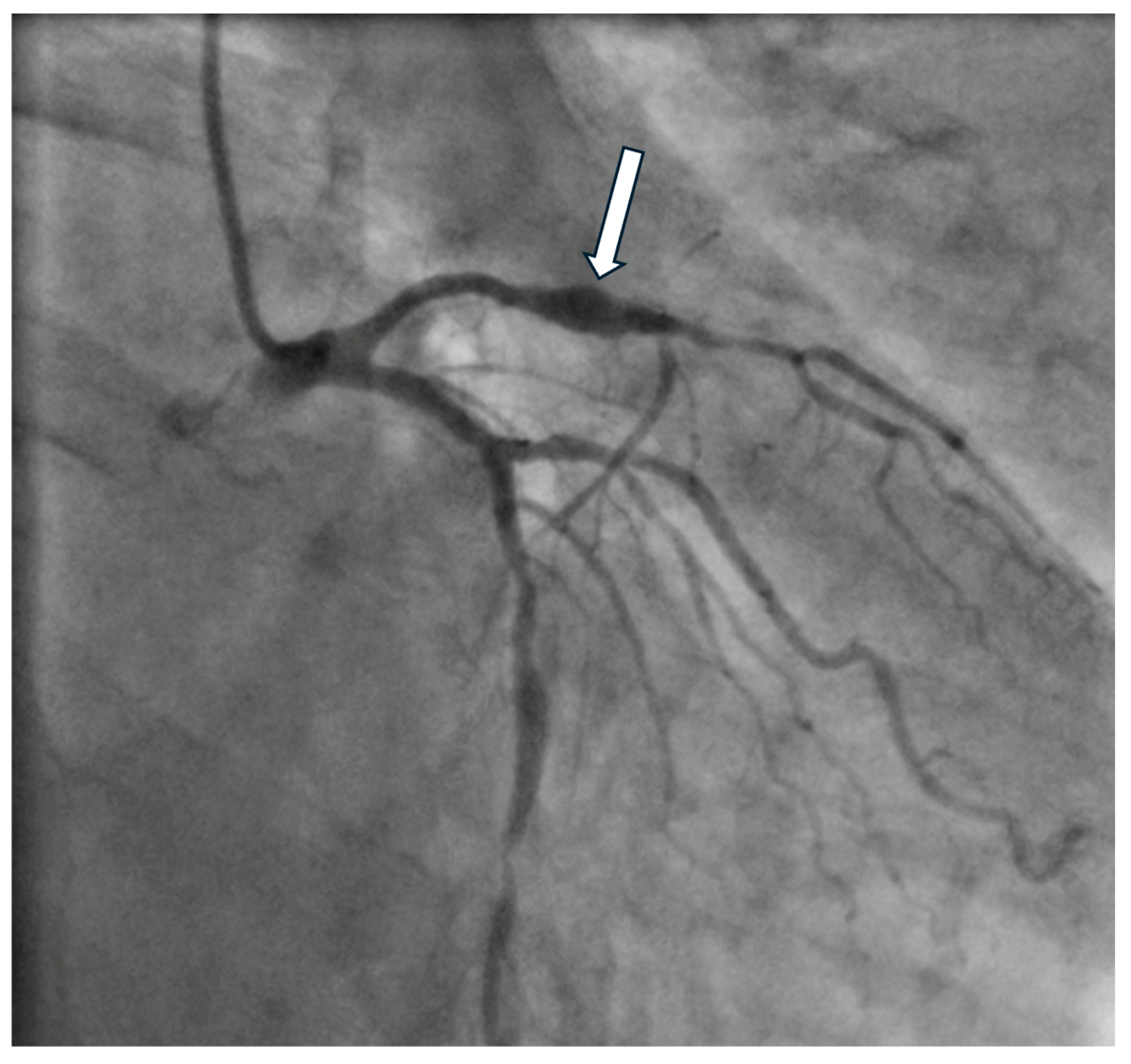 Biomedicines 12 01984 g005 Biomedicines 12 01984 g005