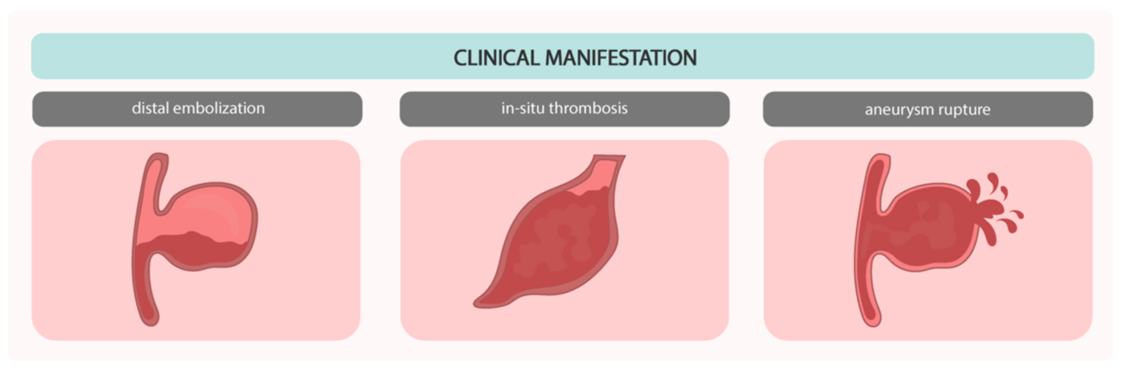 Biomedicines 12 01984 g008 Biomedicines 12 01984 g008