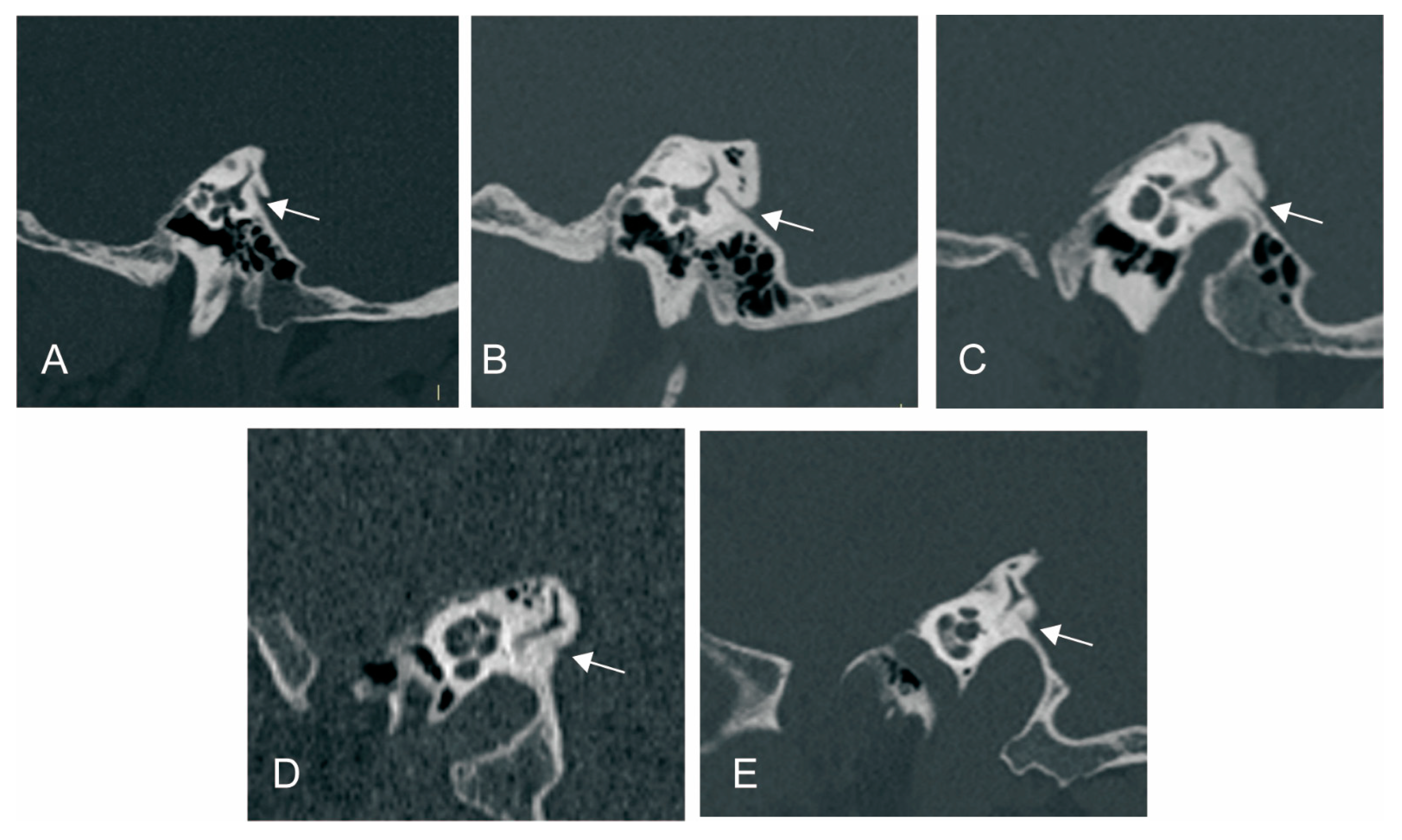 Biomedicines 12 02008 g002