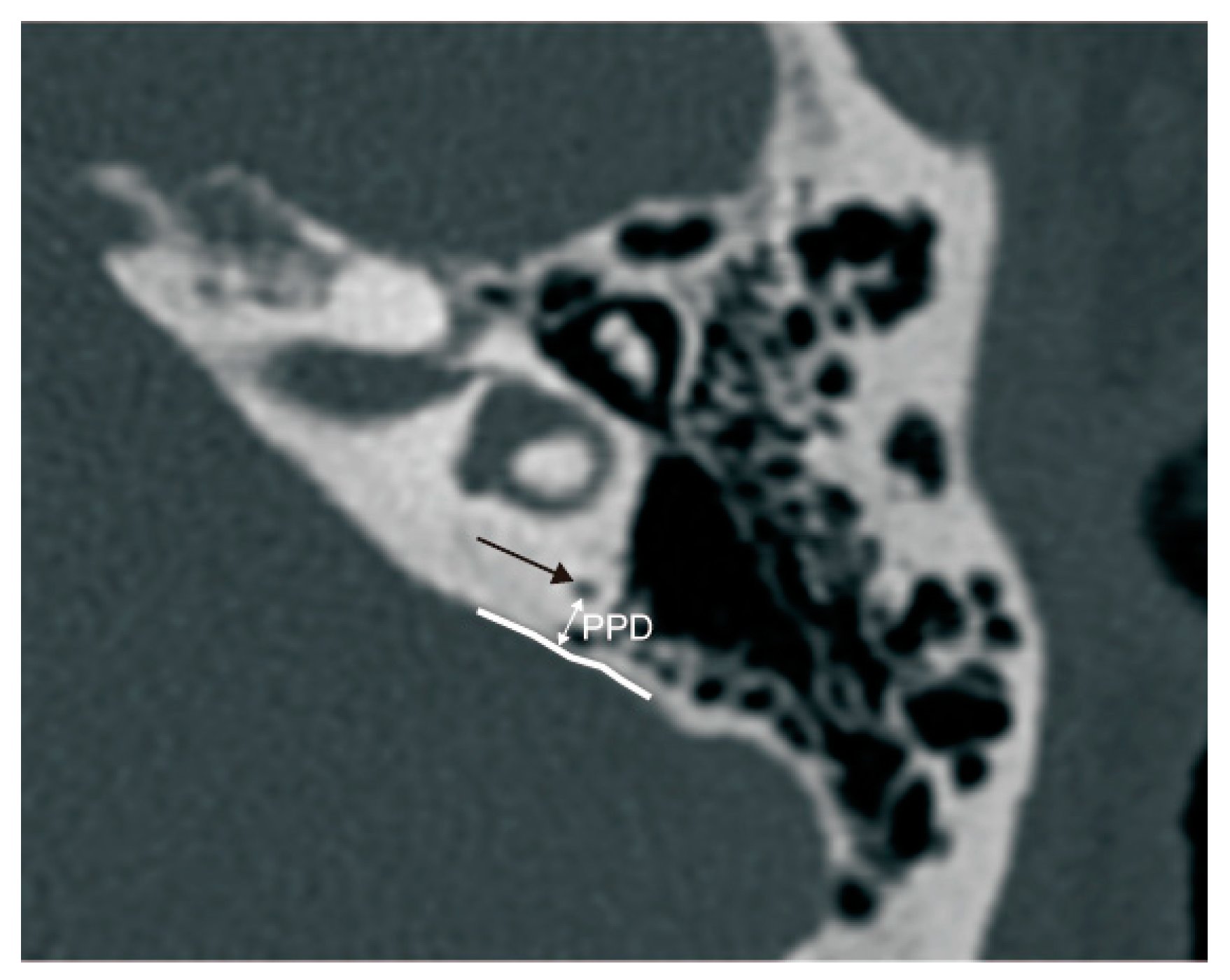 Biomedicines 12 02008 g004