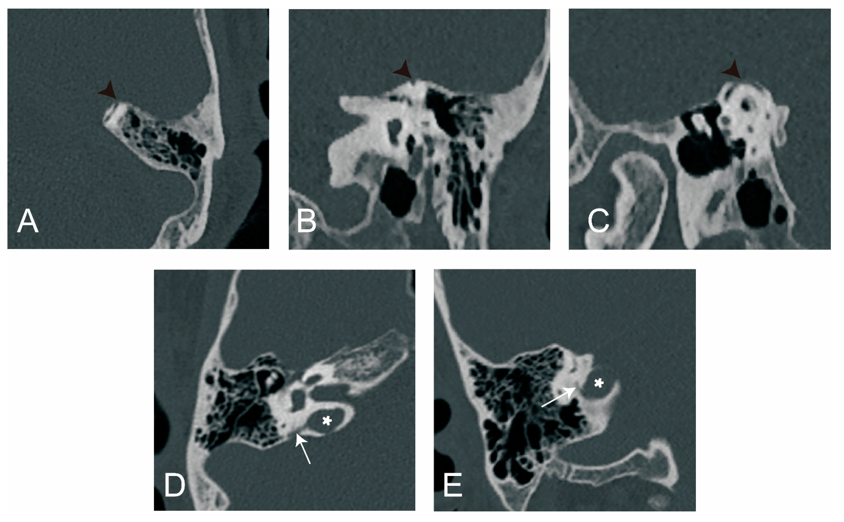 Biomedicines 12 02008 g005