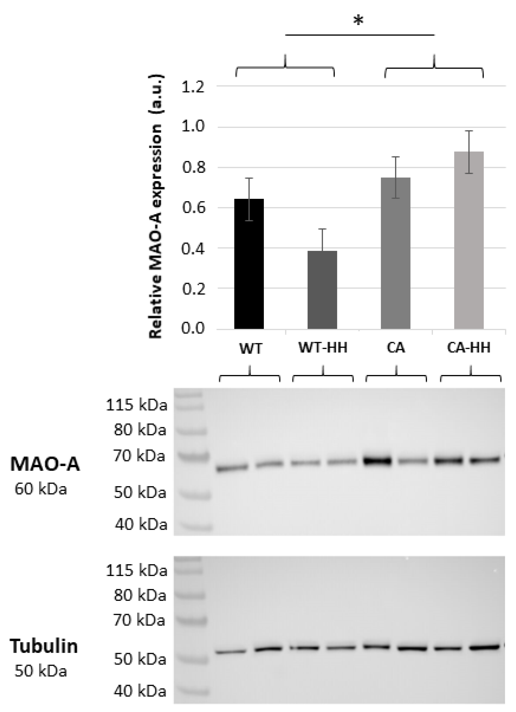 Biomedicines 12 02009 g001
