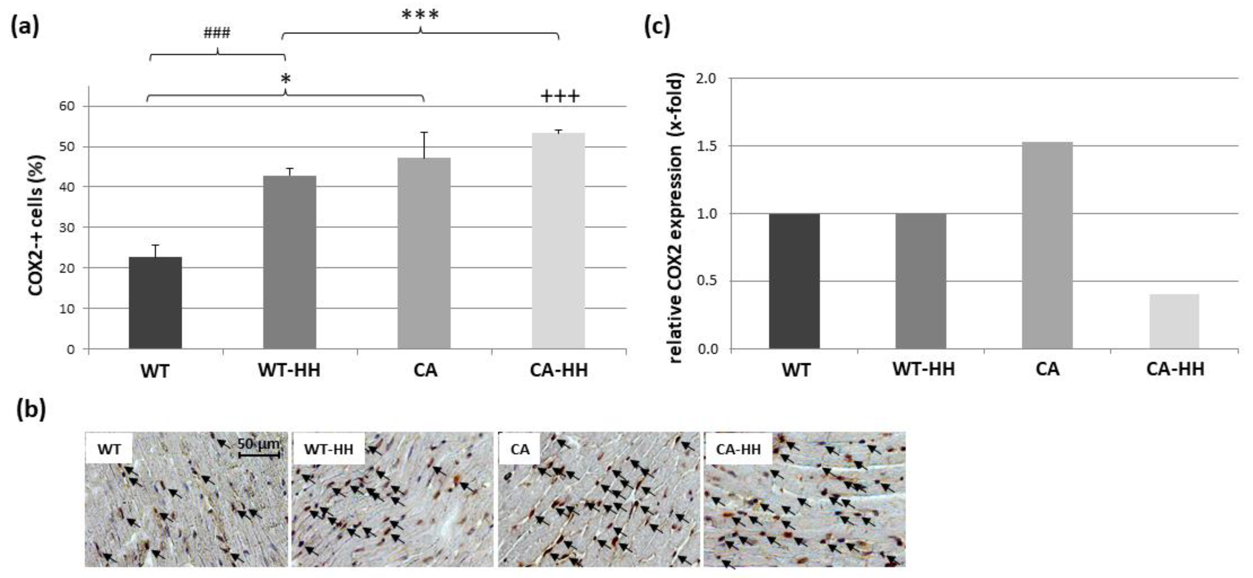 Biomedicines 12 02009 g006