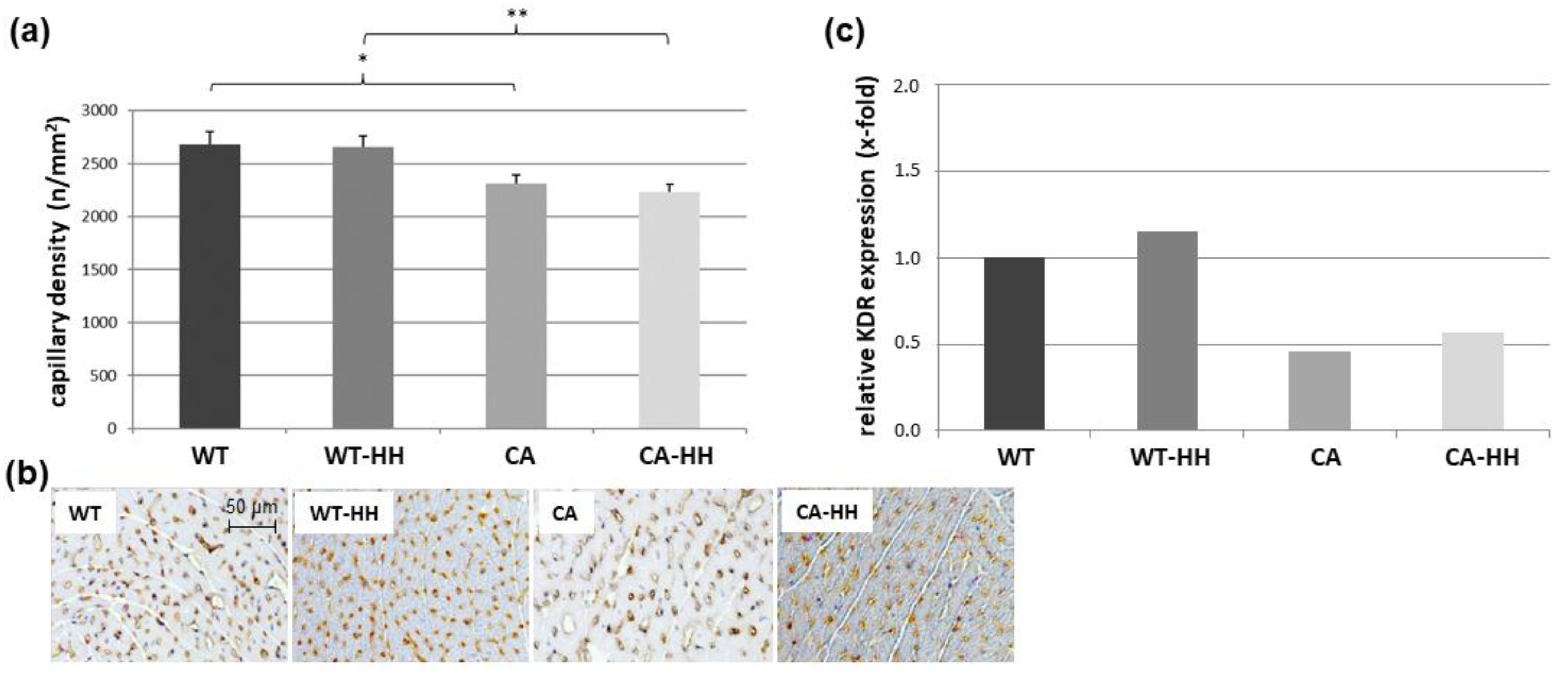 Biomedicines 12 02009 g007