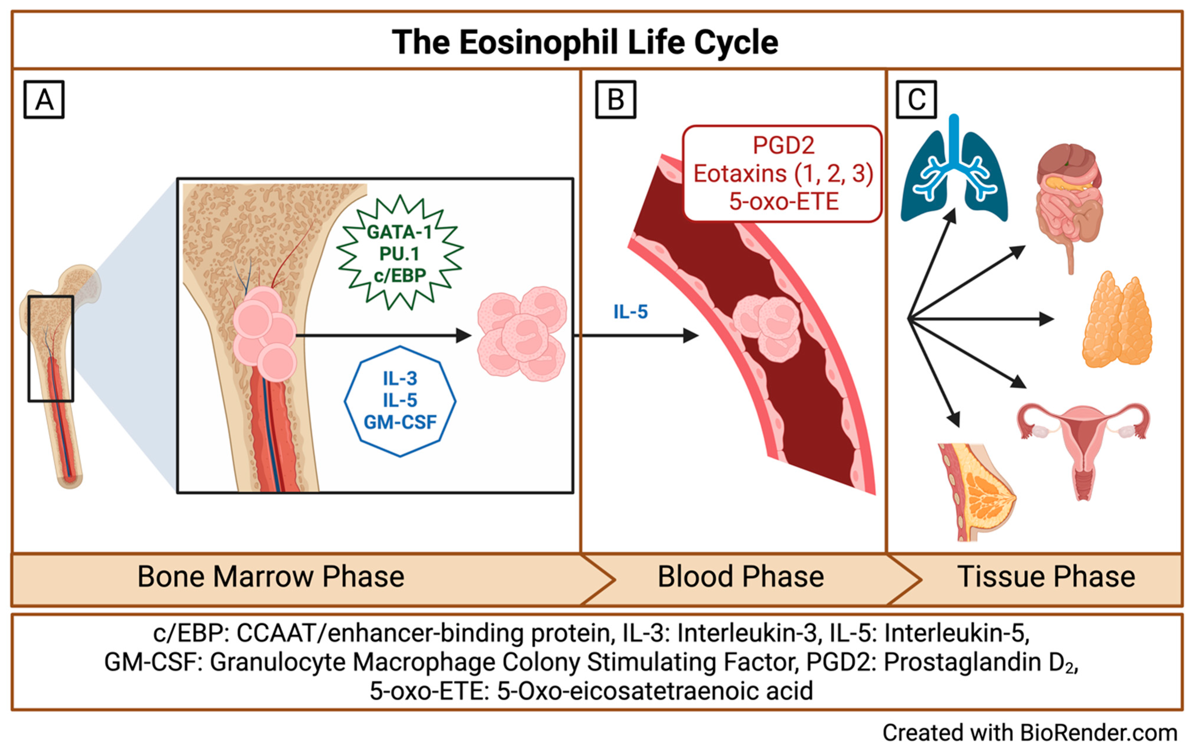 Biomedicines 12 02011 g001