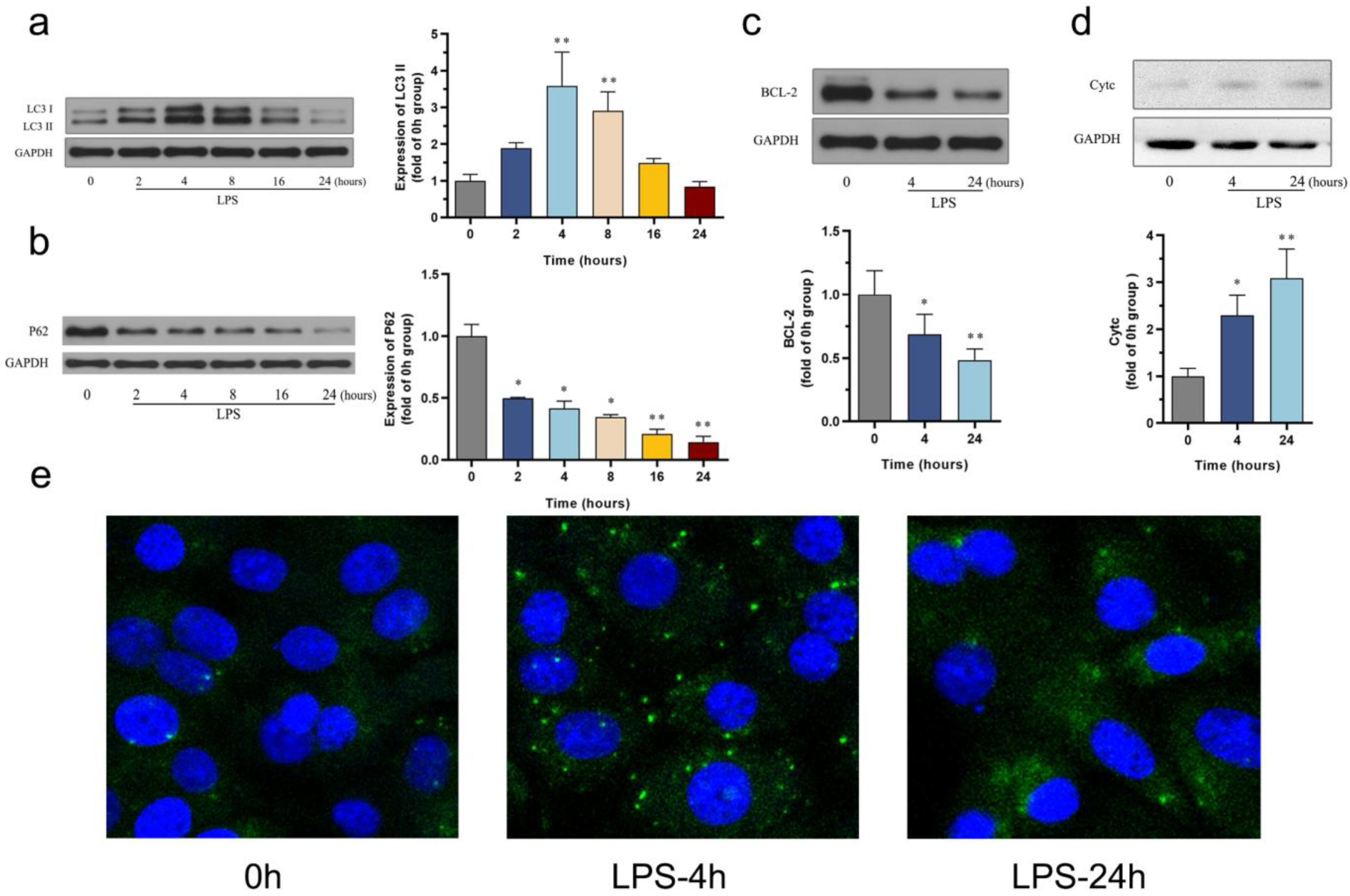Biomedicines 12 02013 g002