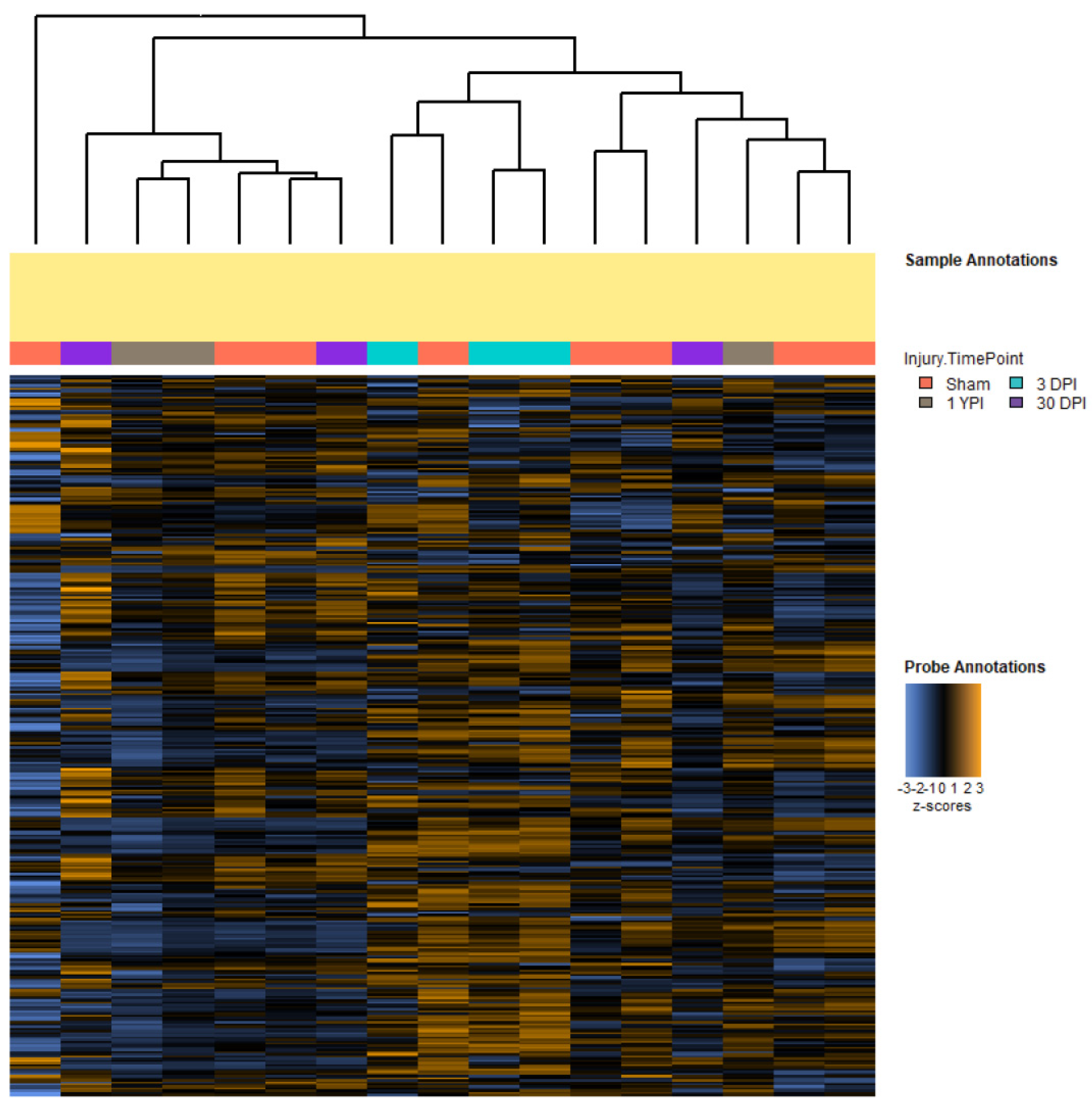 Biomedicines 12 02019 g001