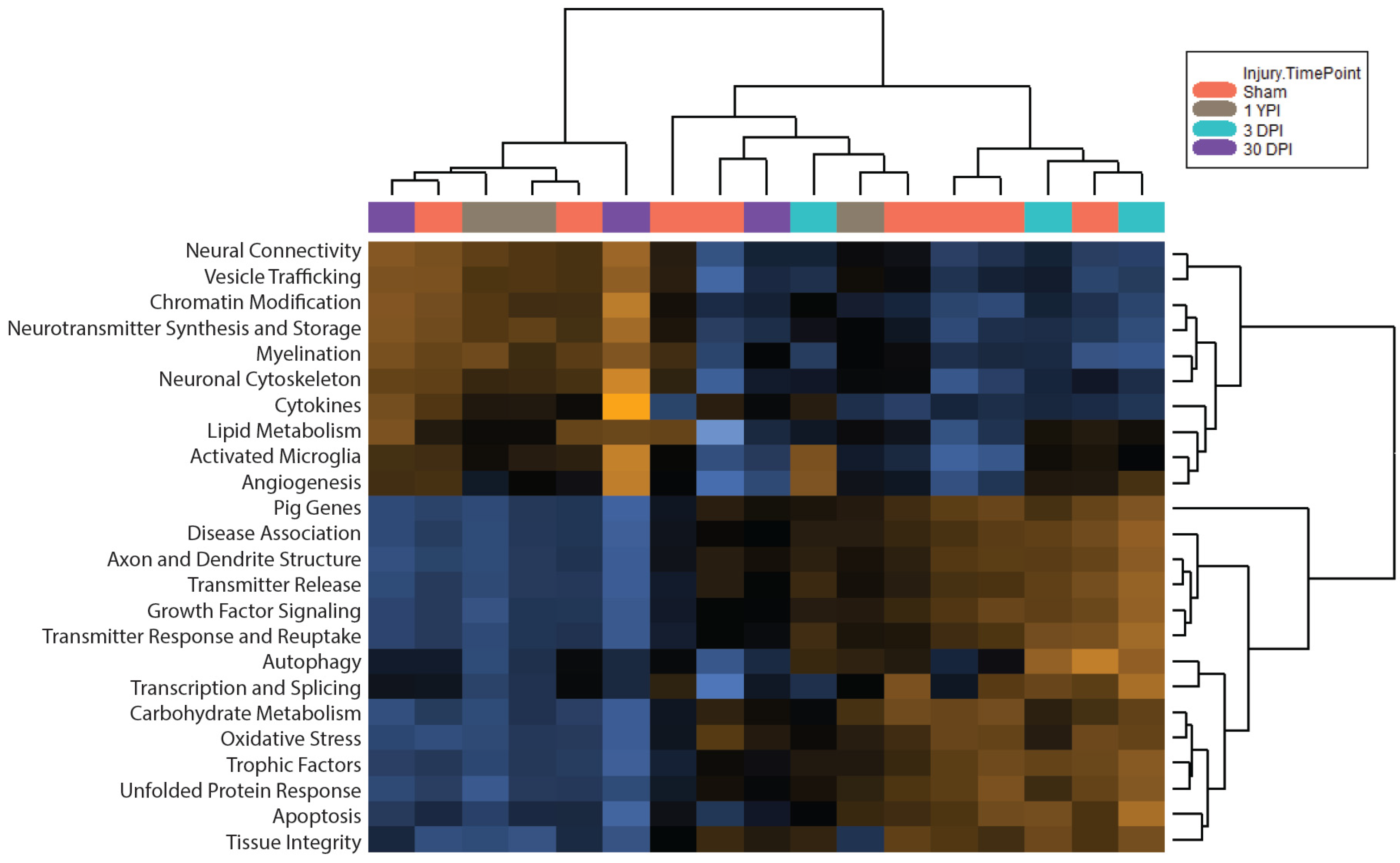 Biomedicines 12 02019 g003