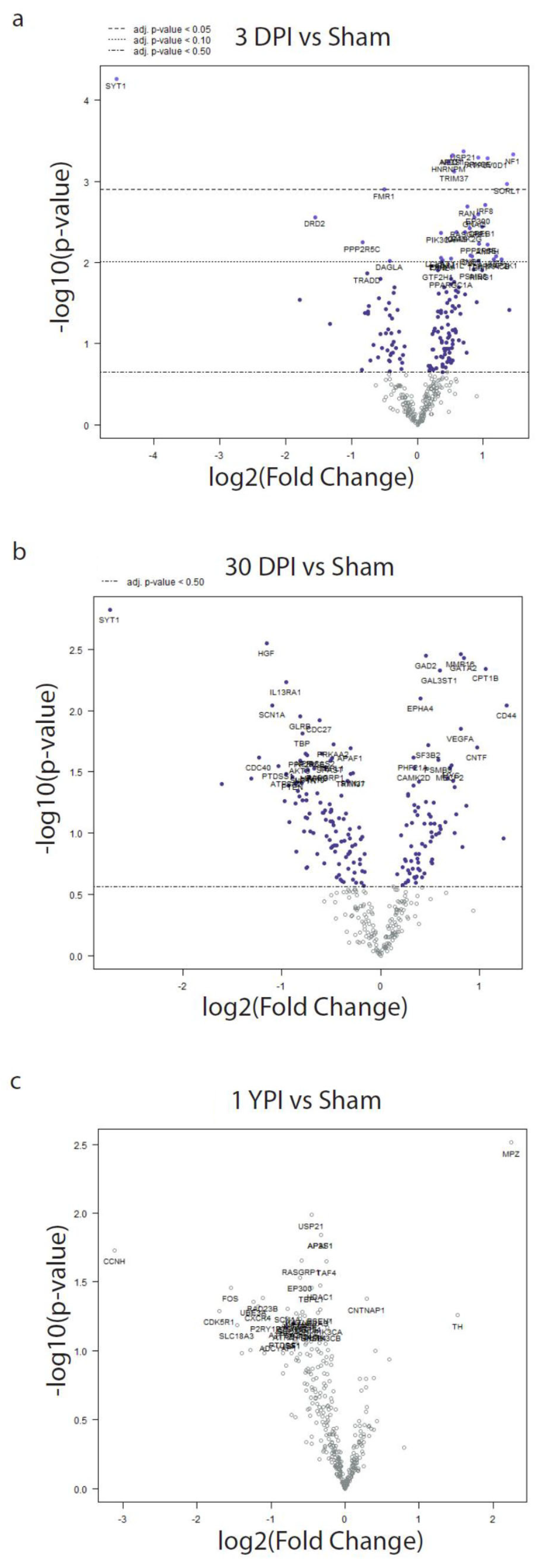 Biomedicines 12 02019 g005