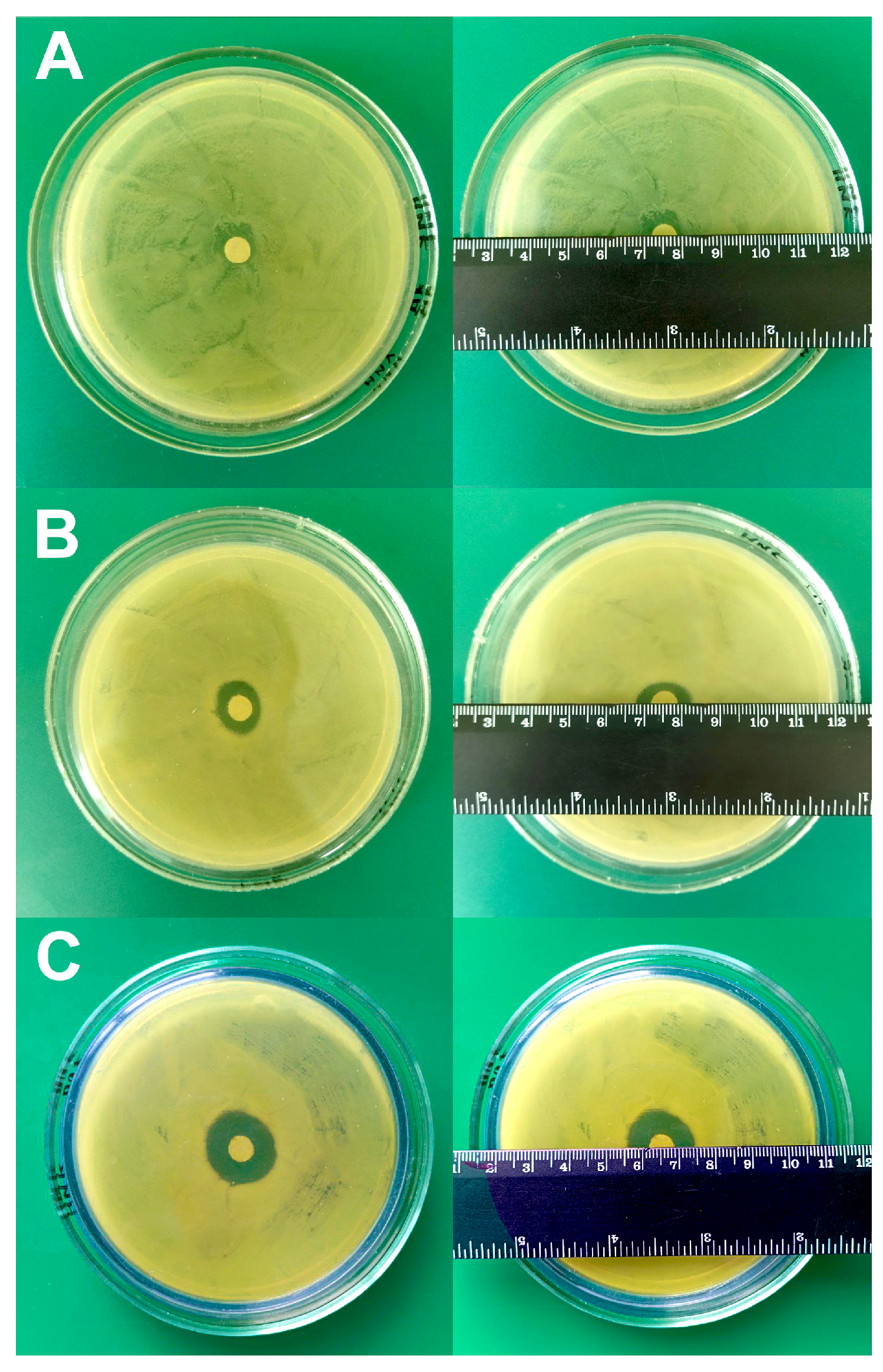 Biomedicines 12 02034 g009
