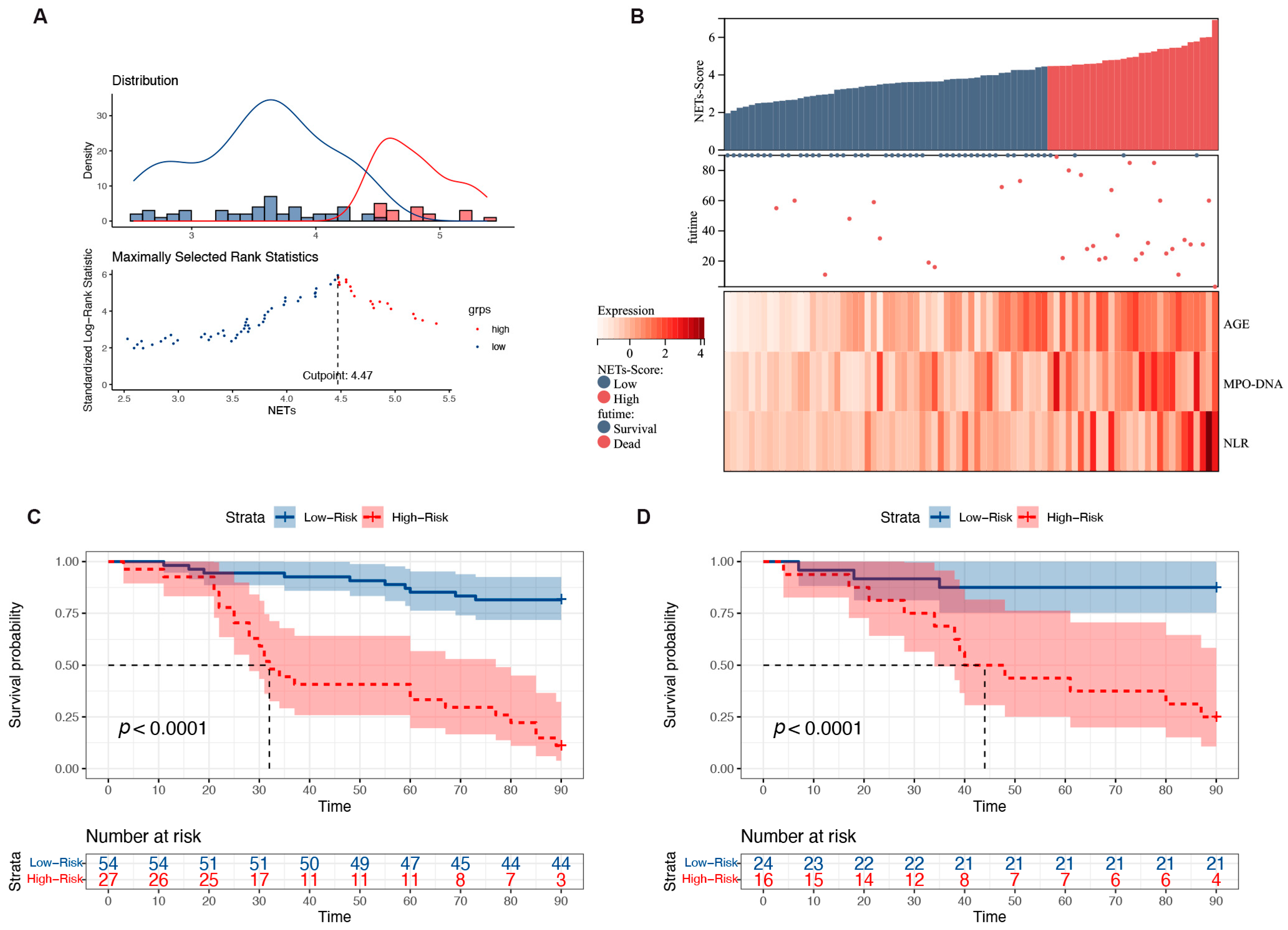 Biomedicines 12 02048 g005