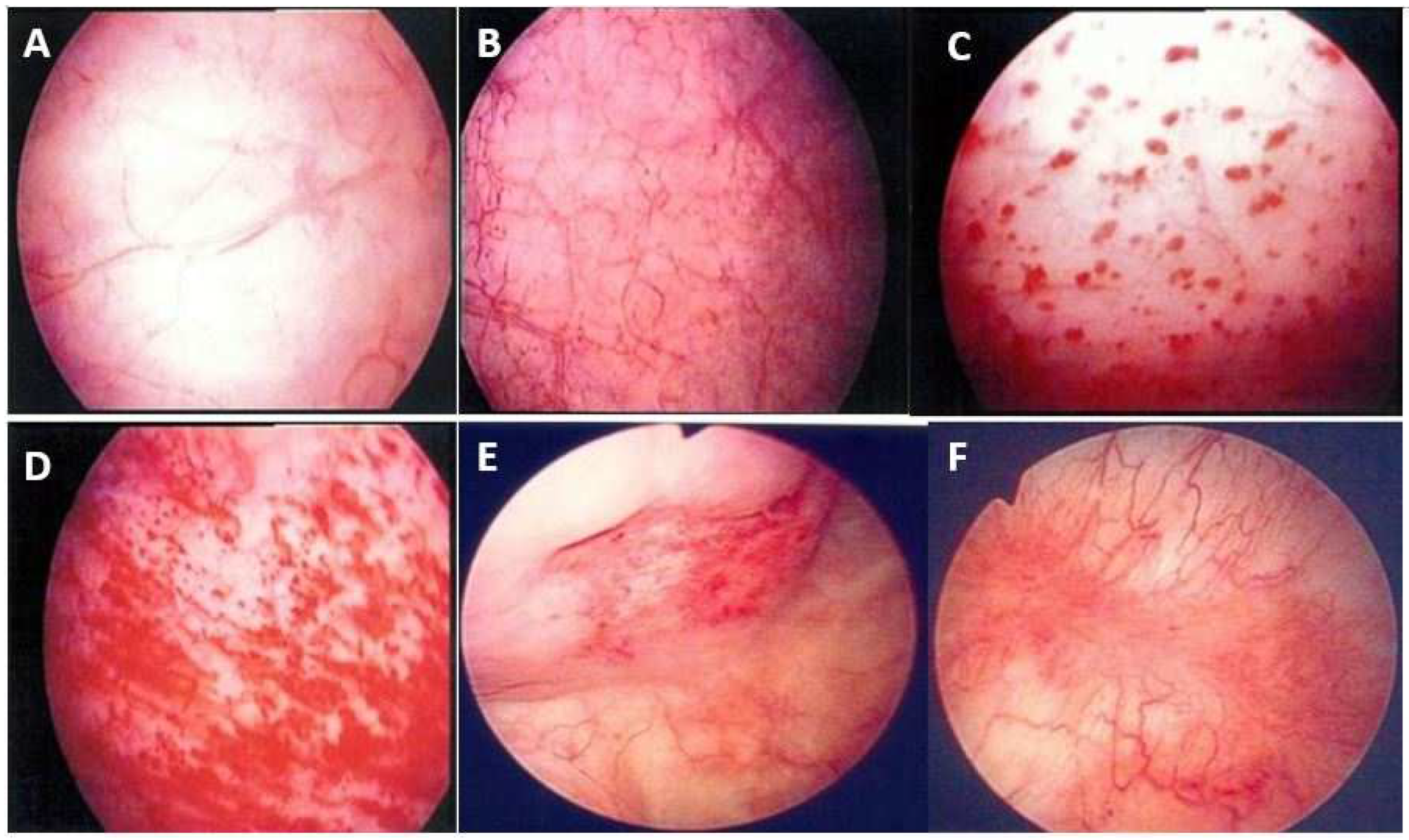 Biomedicines 12 02051 g002 Biomedicines 12 02051 g002