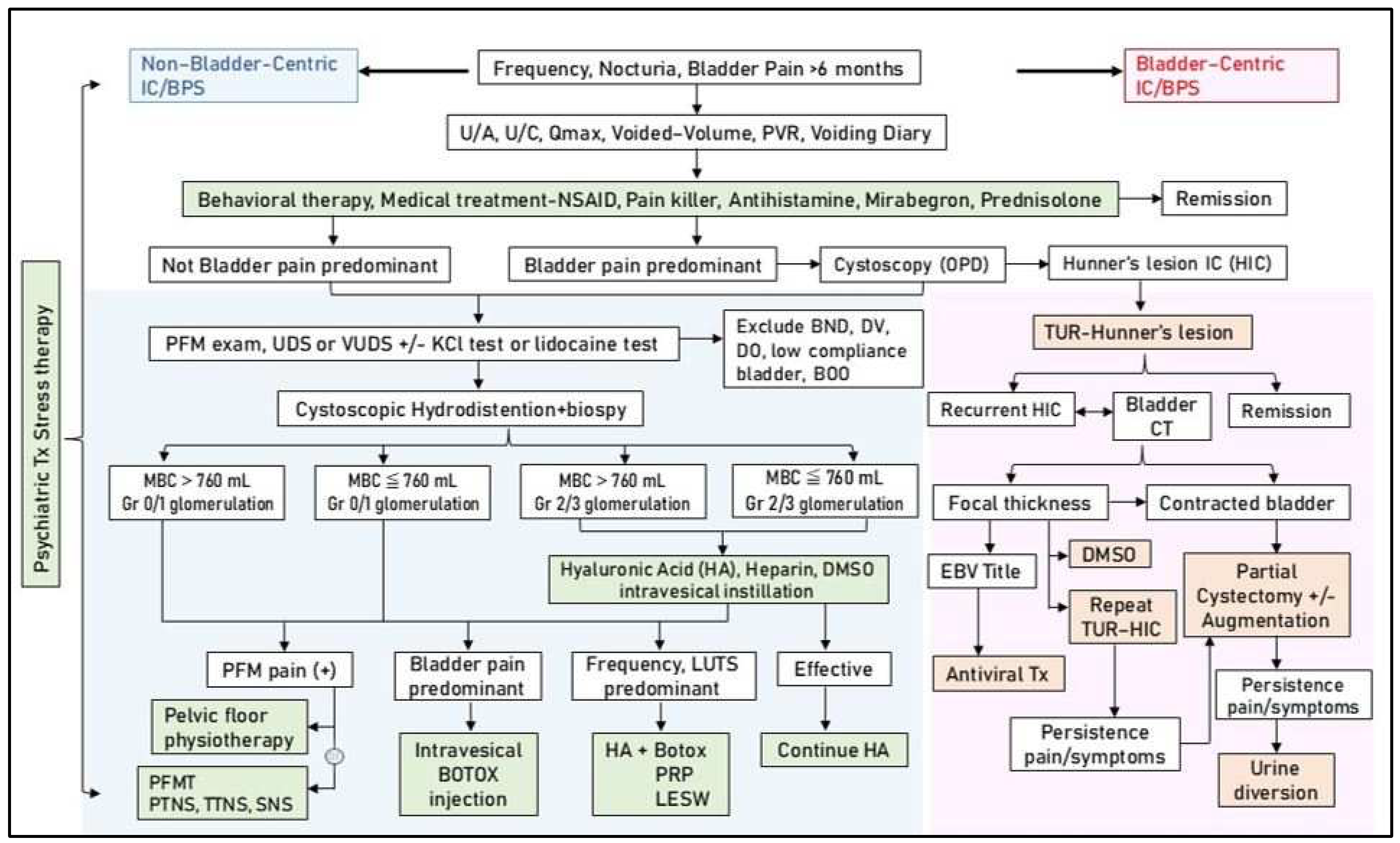 Biomedicines 12 02051 g003 Biomedicines 12 02051 g003