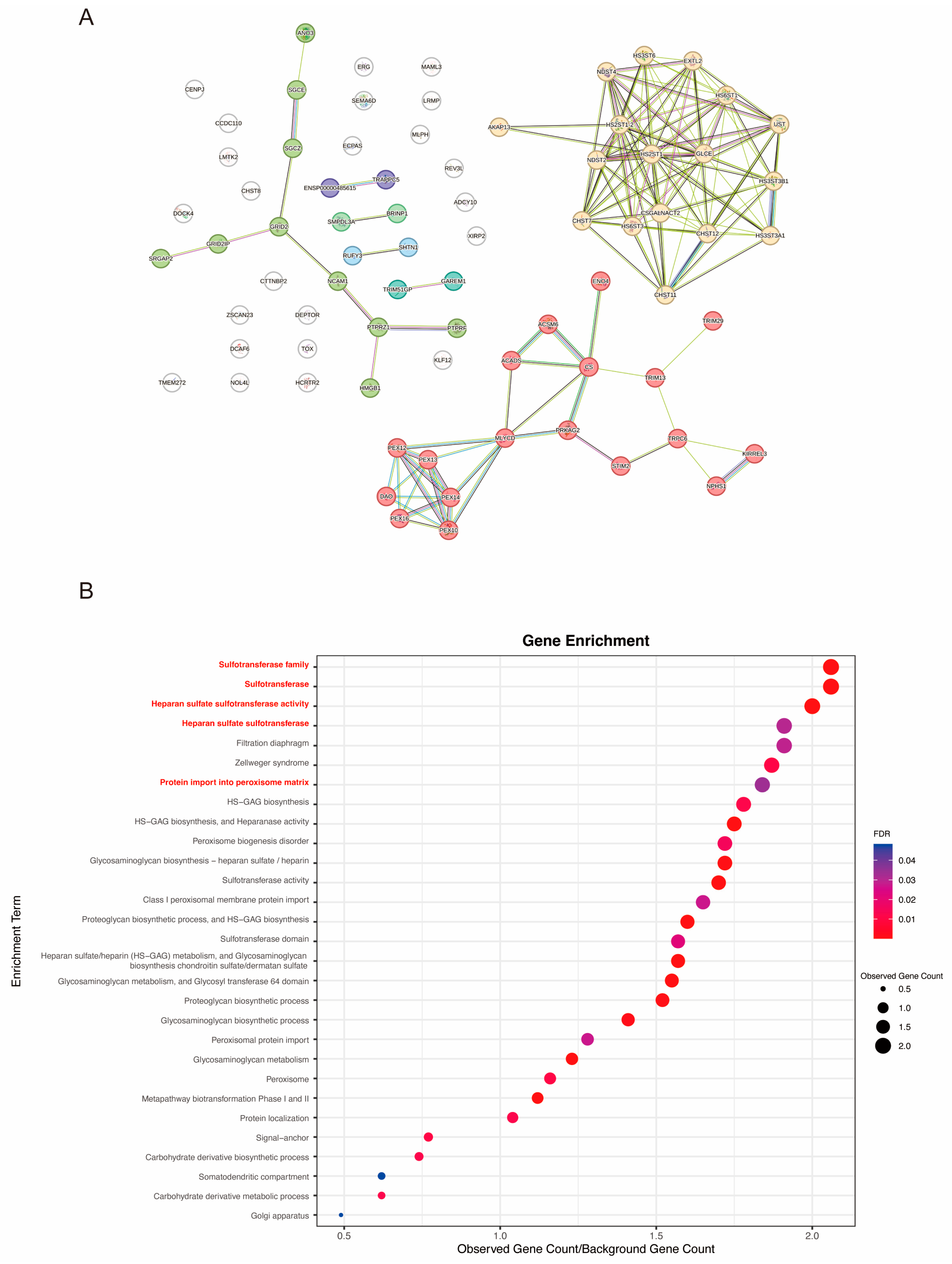 Biomedicines 12 02060 g006