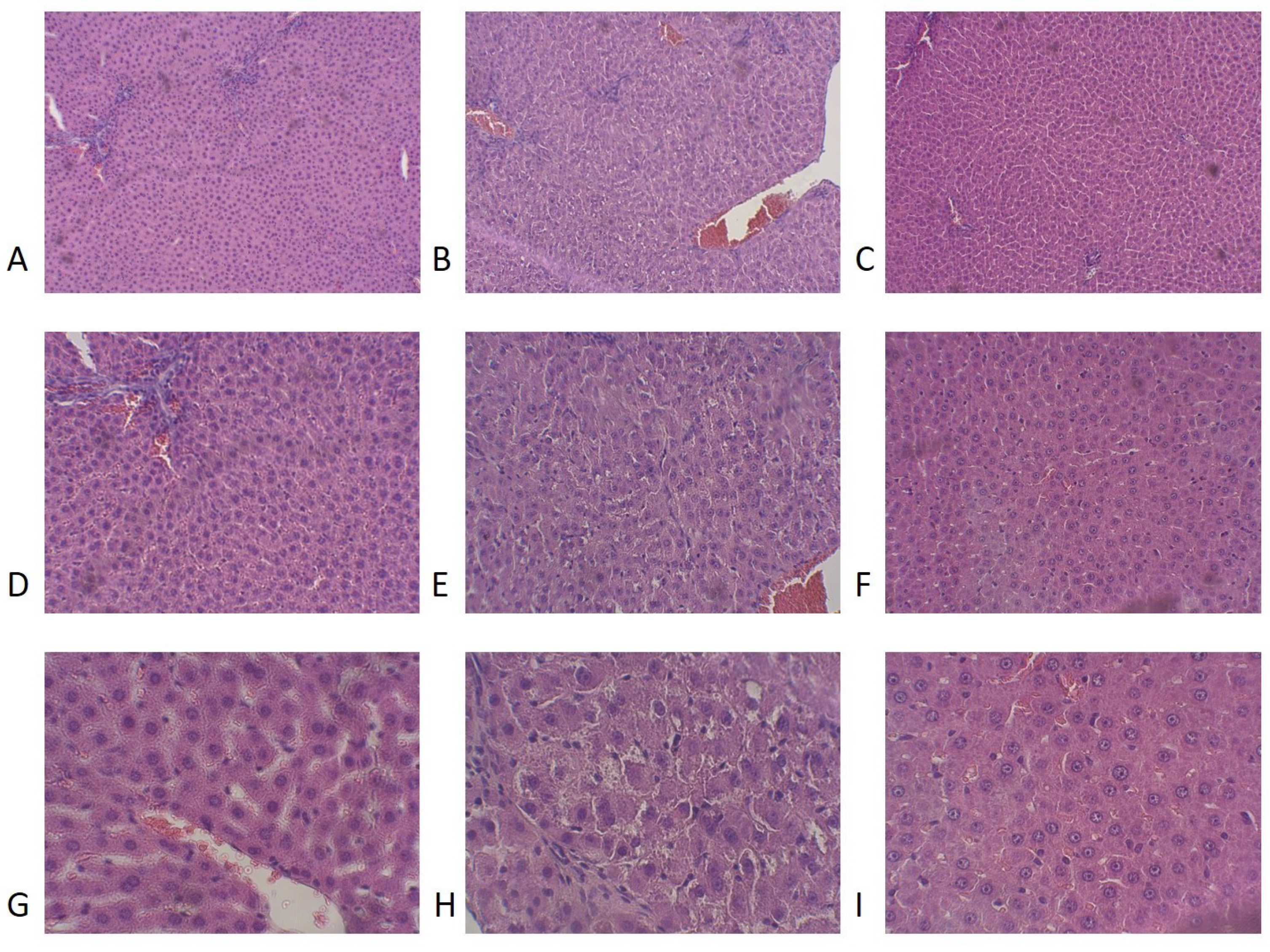 Biomedicines 12 02063 g009