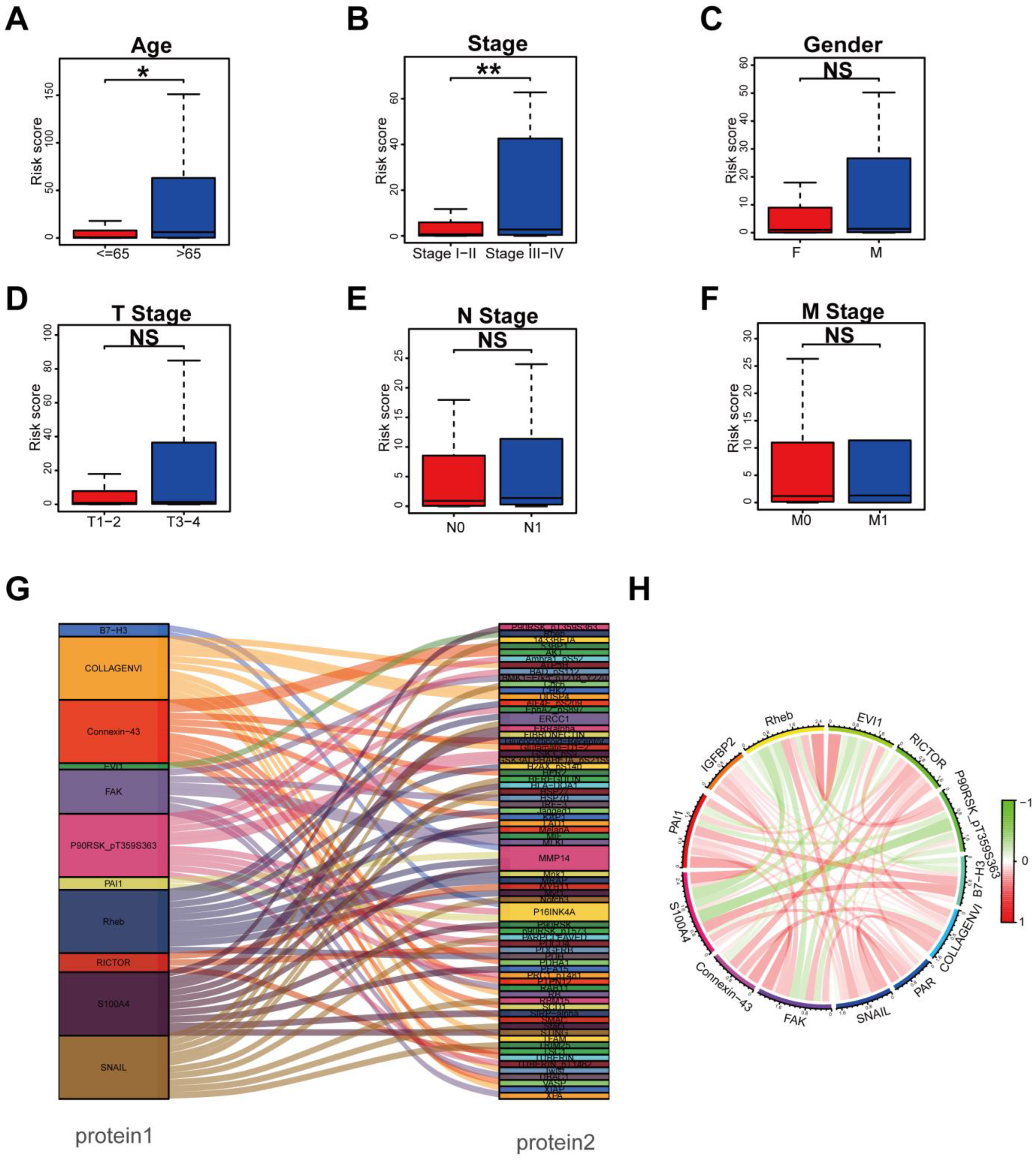 Biomedicines 12 02066 g003