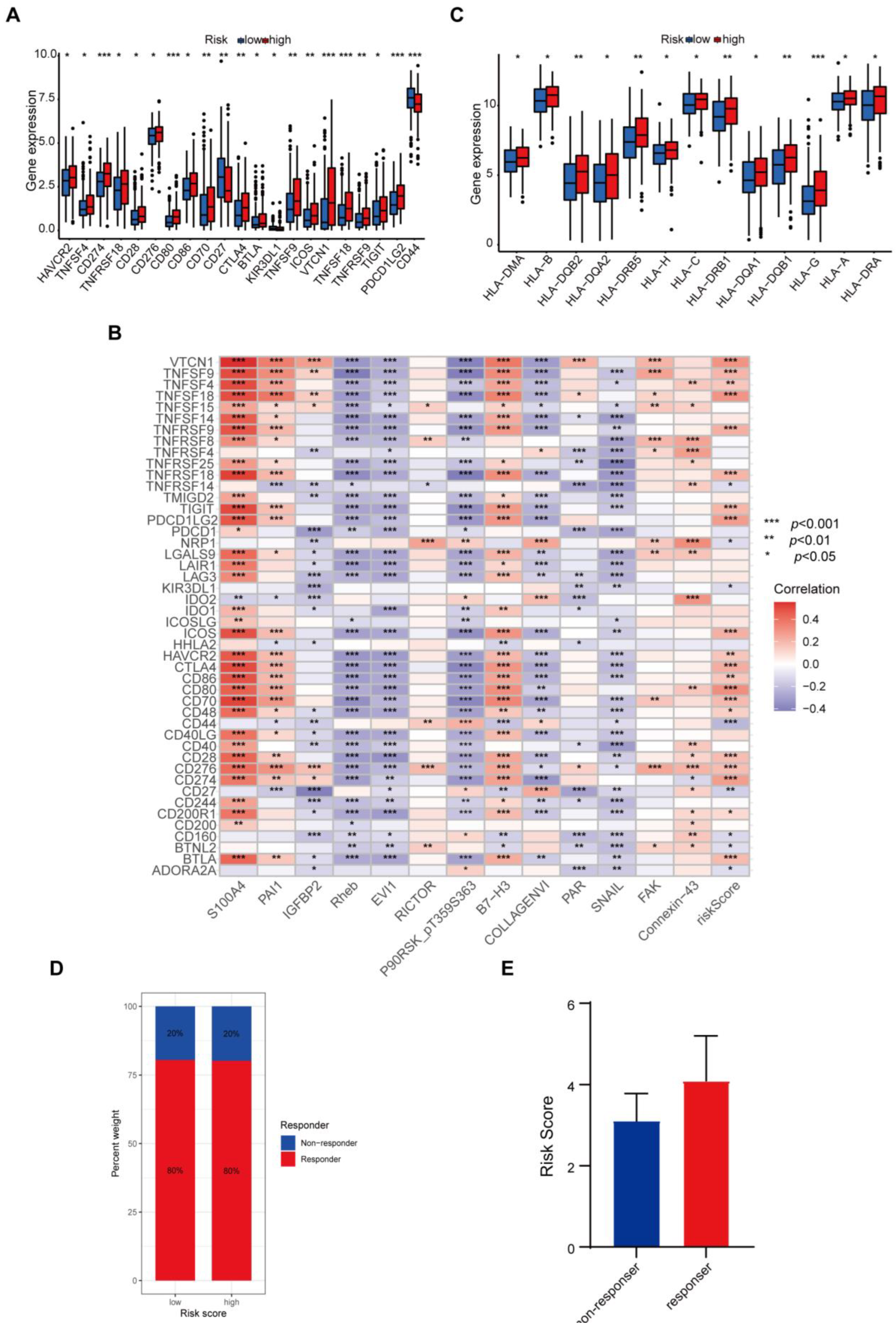 Biomedicines 12 02066 g006