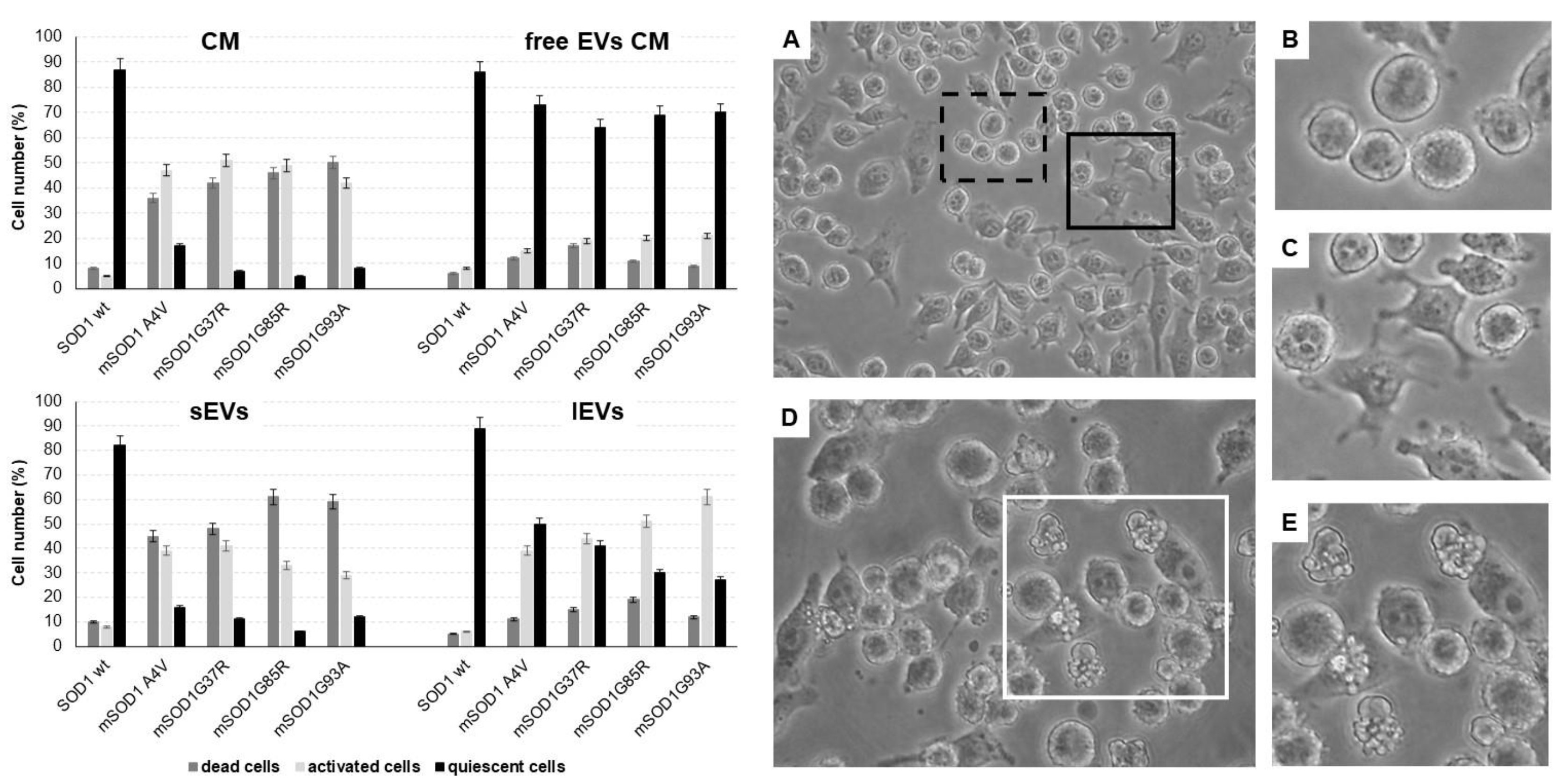 Biomedicines 12 02069 g001