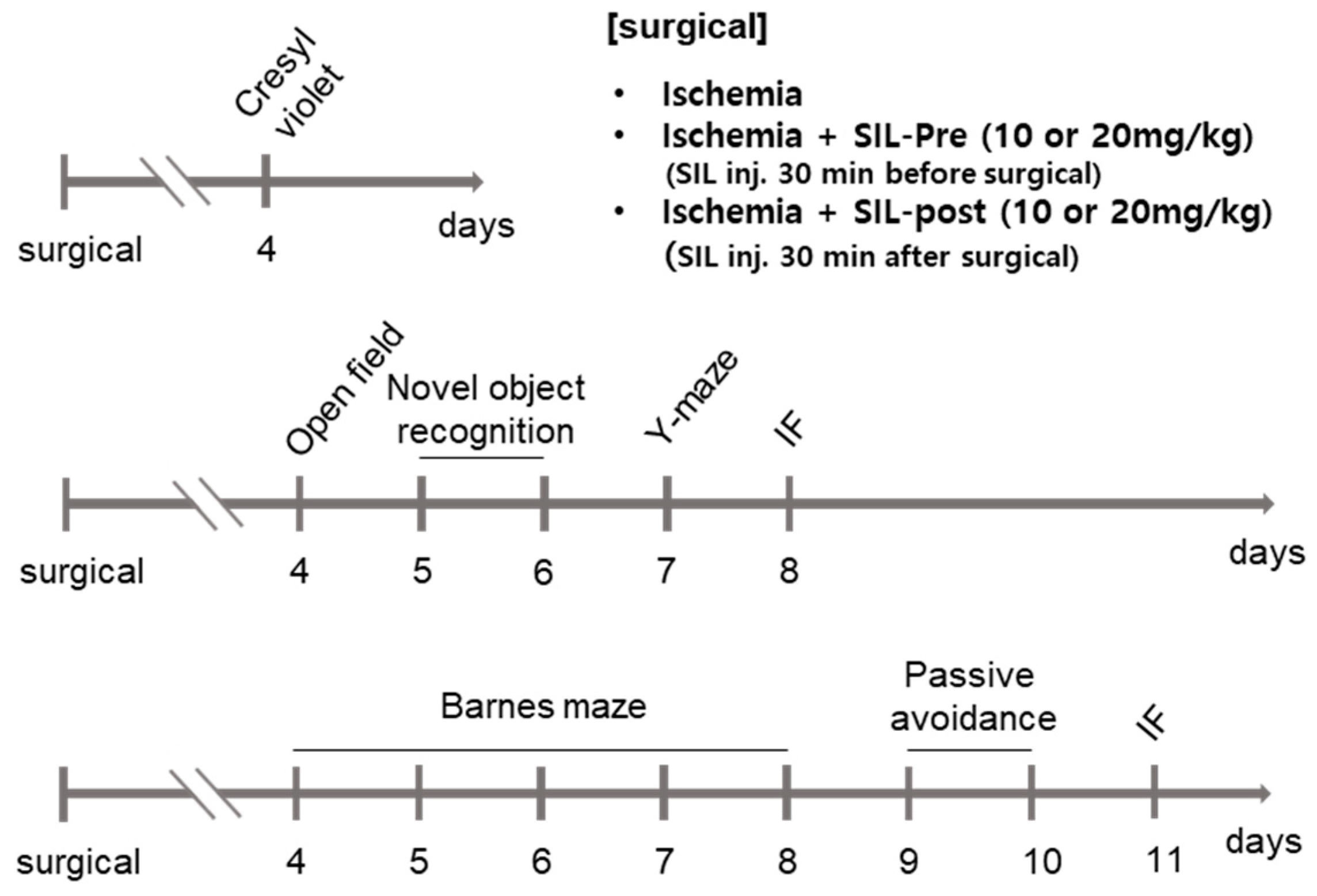 Biomedicines 12 02077 g001 Biomedicines 12 02077 g001