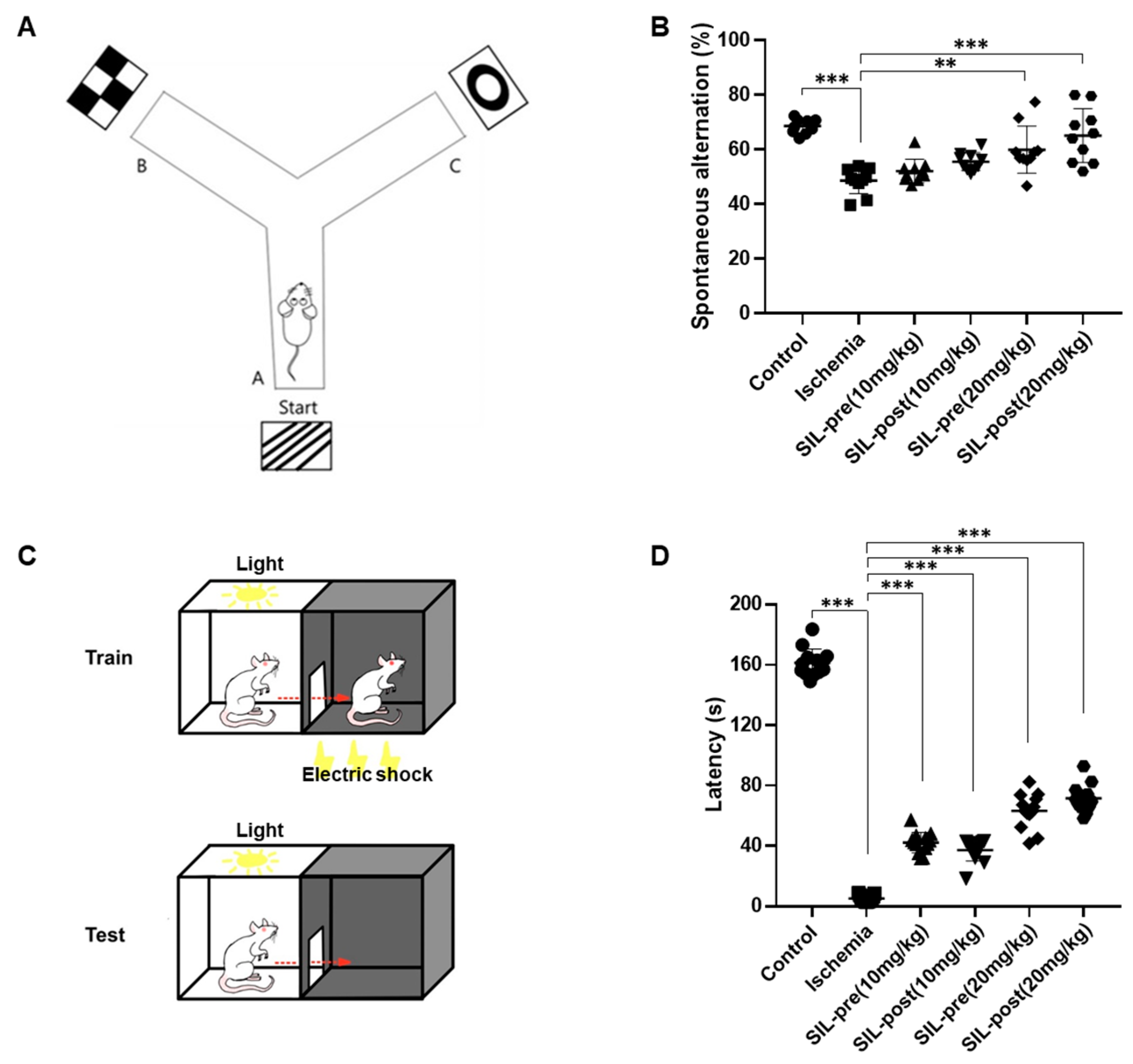 Biomedicines 12 02077 g007 Biomedicines 12 02077 g007