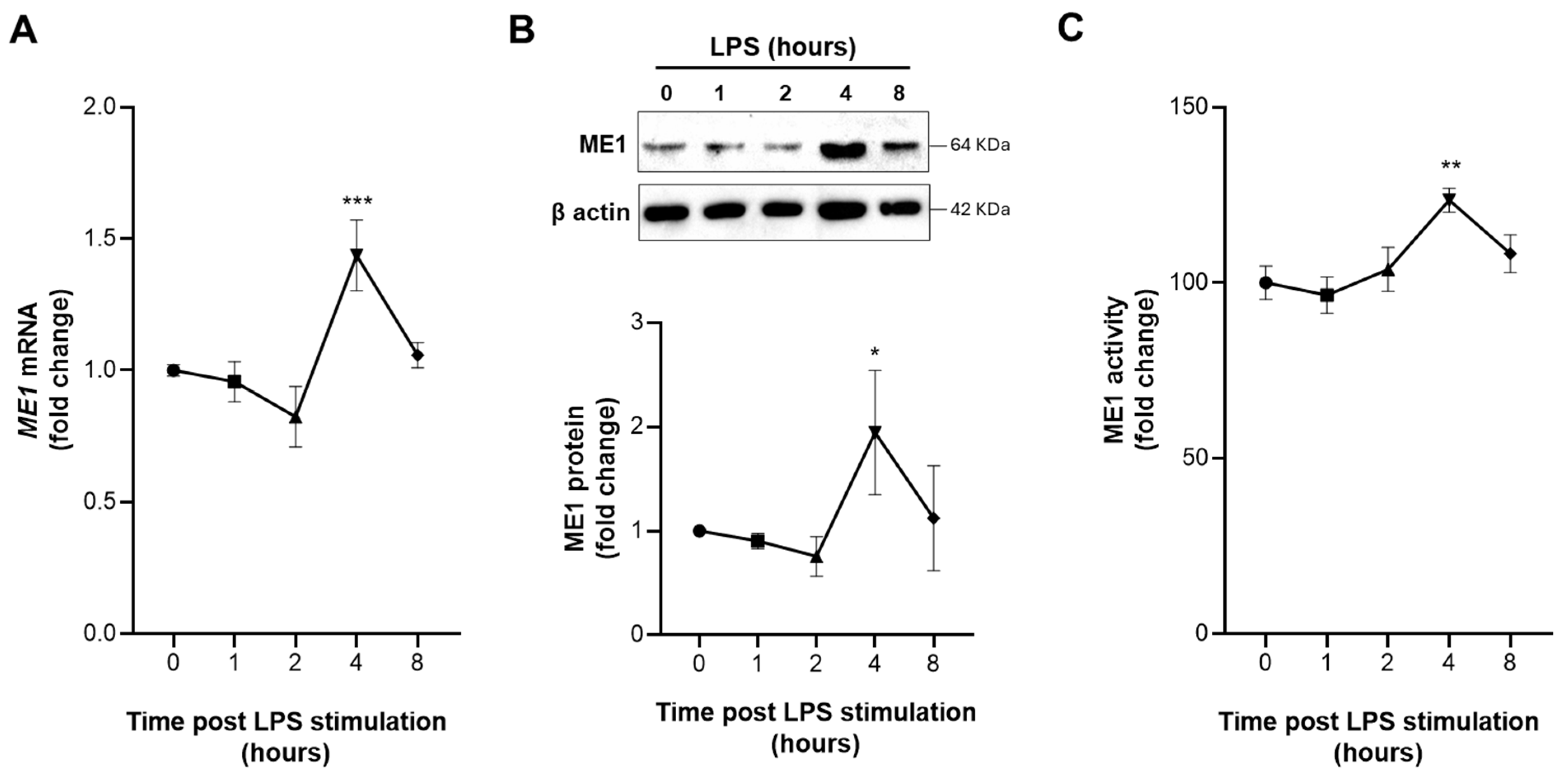 Biomedicines 12 02089 g002