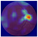 Biomedicines 12 02092 i002