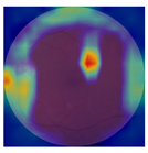 Biomedicines 12 02092 i006