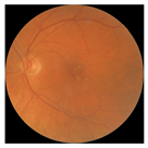 Biomedicines 12 02092 i009