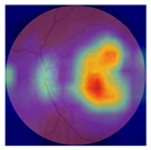 Biomedicines 12 02092 i012