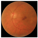 Biomedicines 12 02092 i021