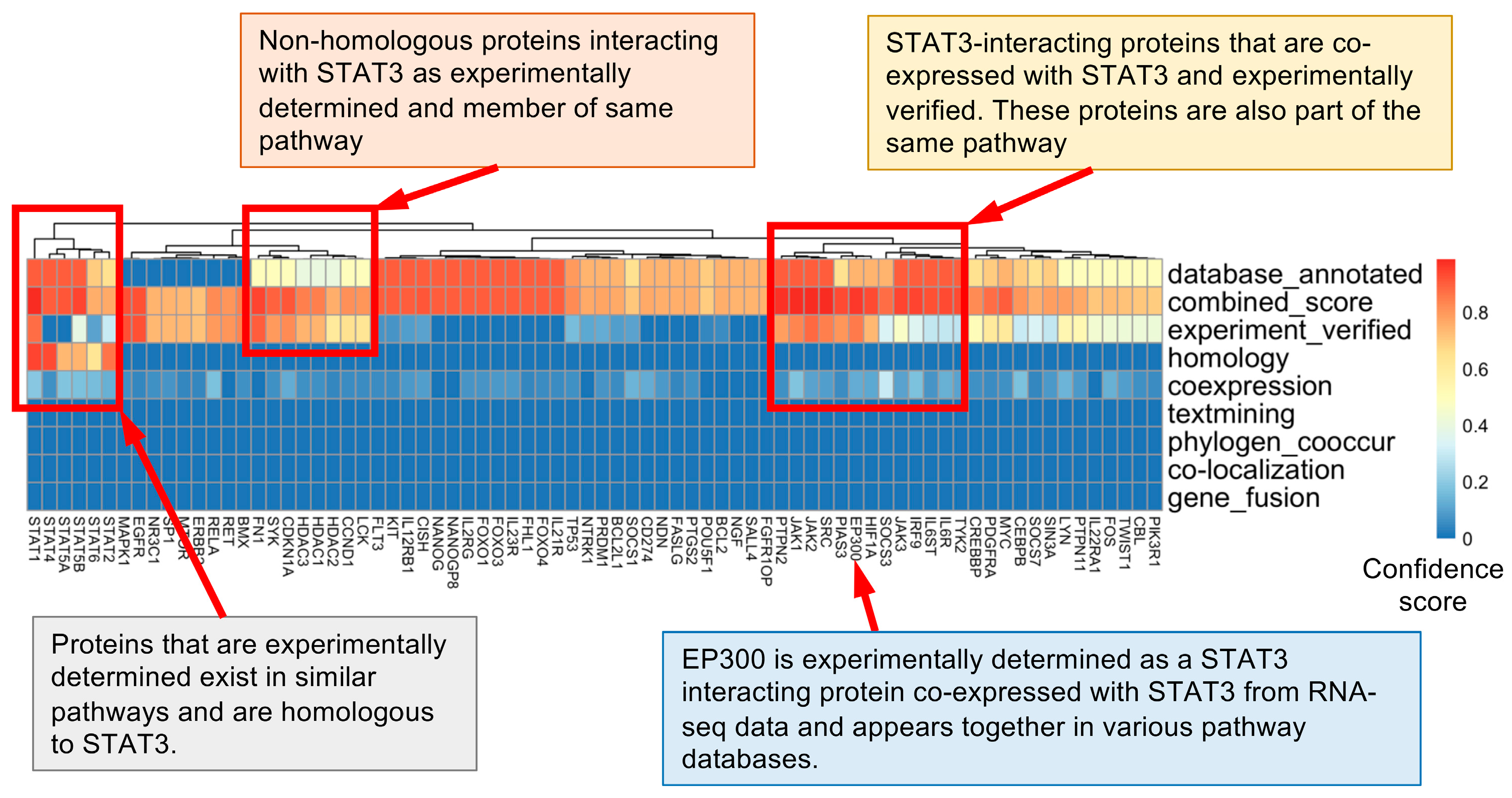 Biomedicines 12 02102 g002