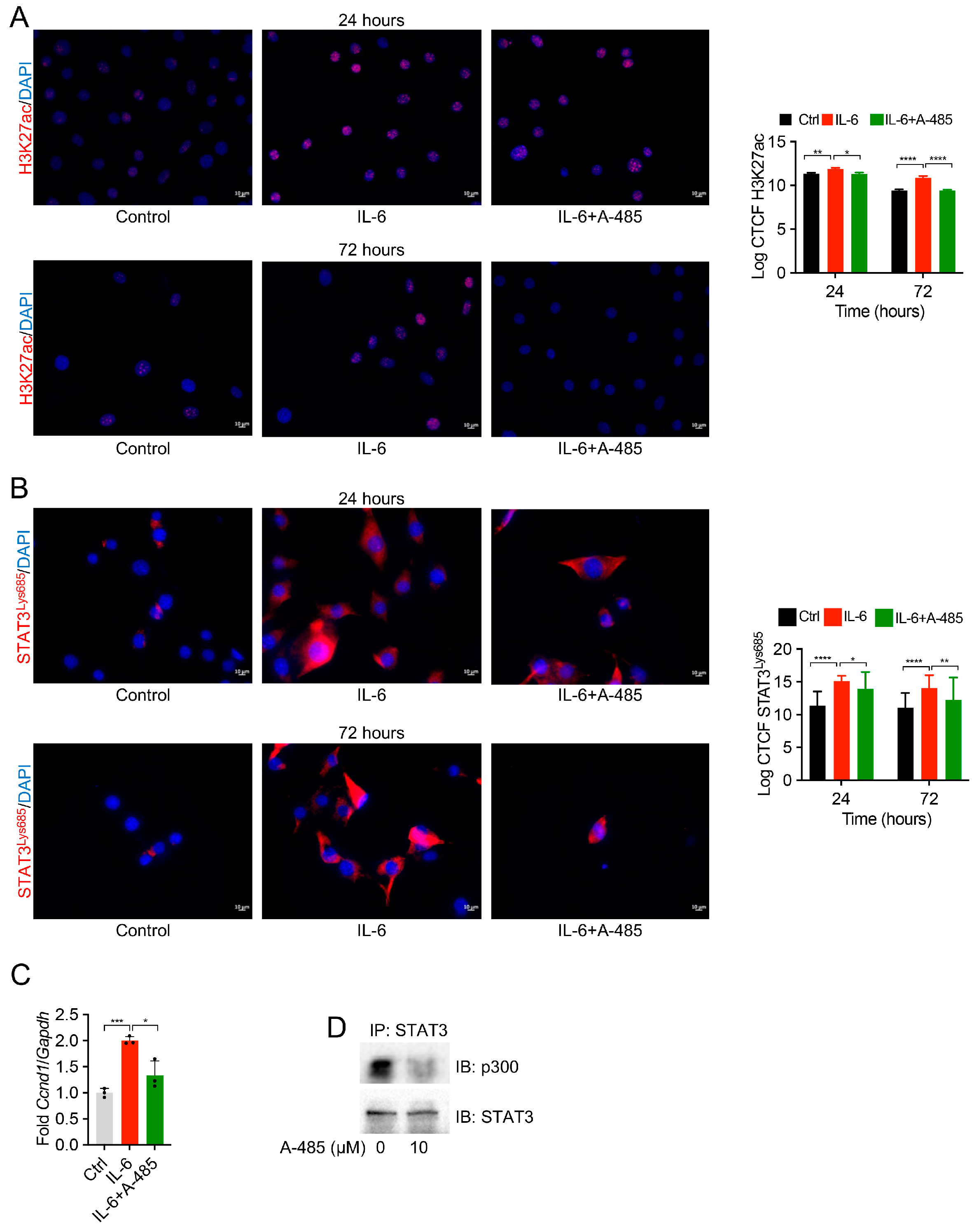 Biomedicines 12 02102 g004