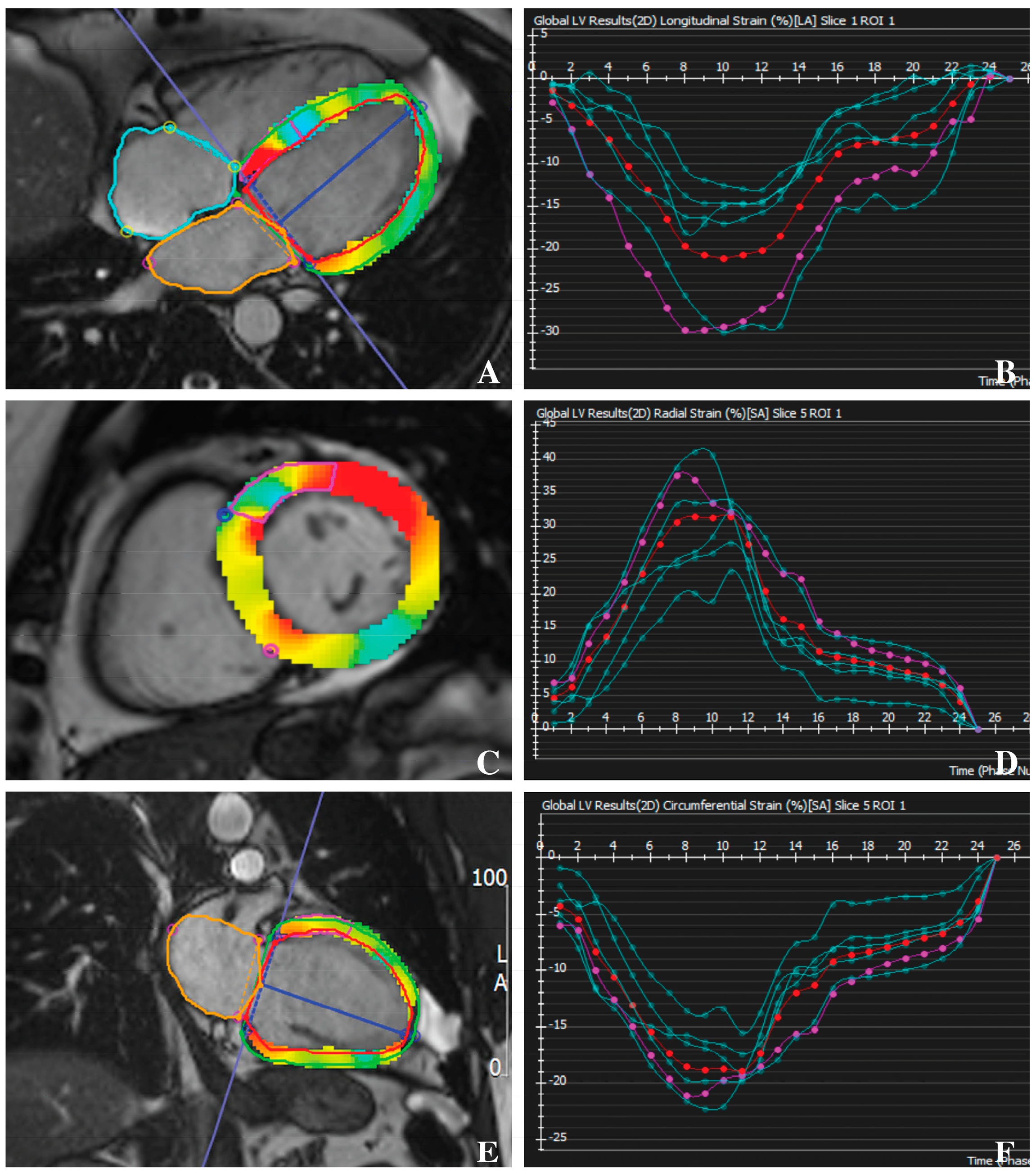 Biomedicines 12 02104 g002