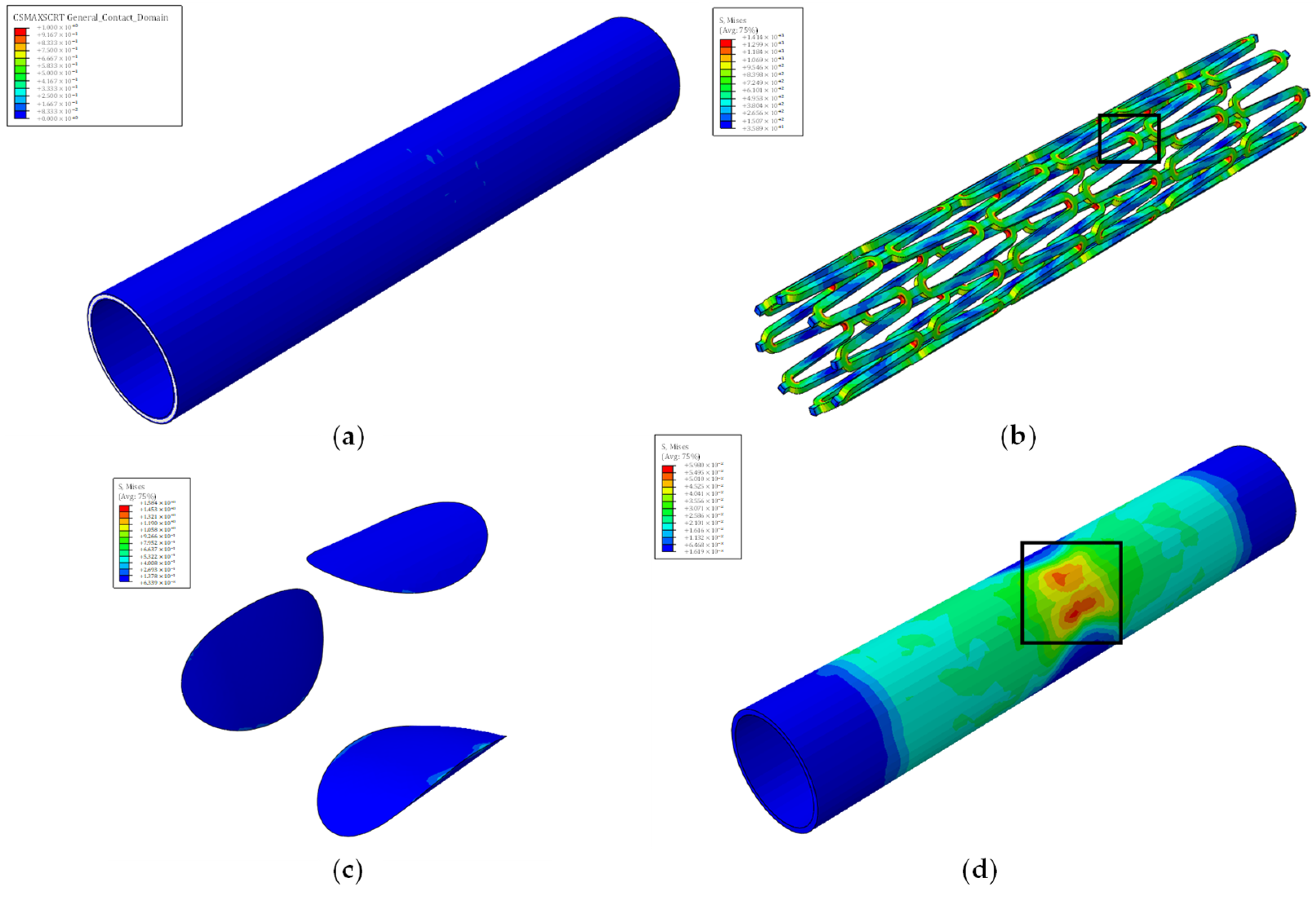 Biomedicines 12 02105 g006 Biomedicines 12 02105 g006
