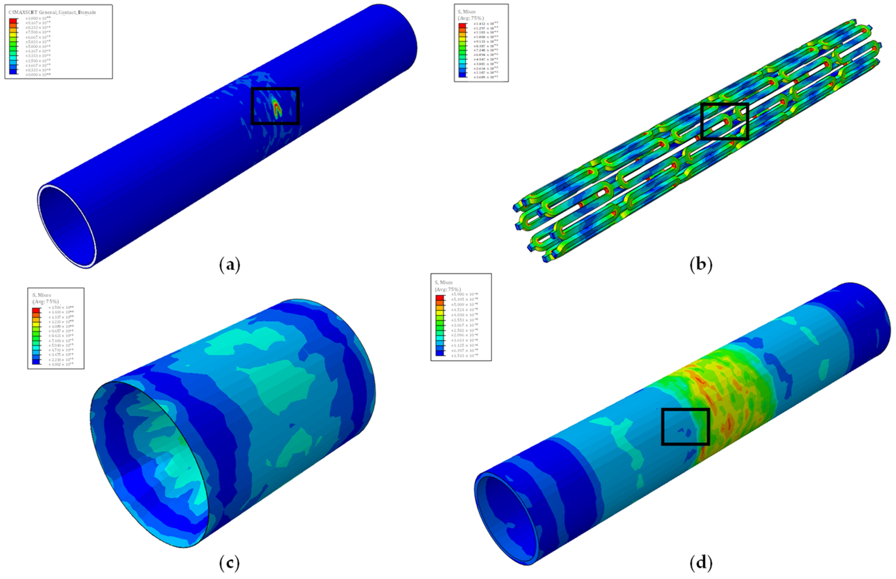Biomedicines 12 02105 g007 Biomedicines 12 02105 g007