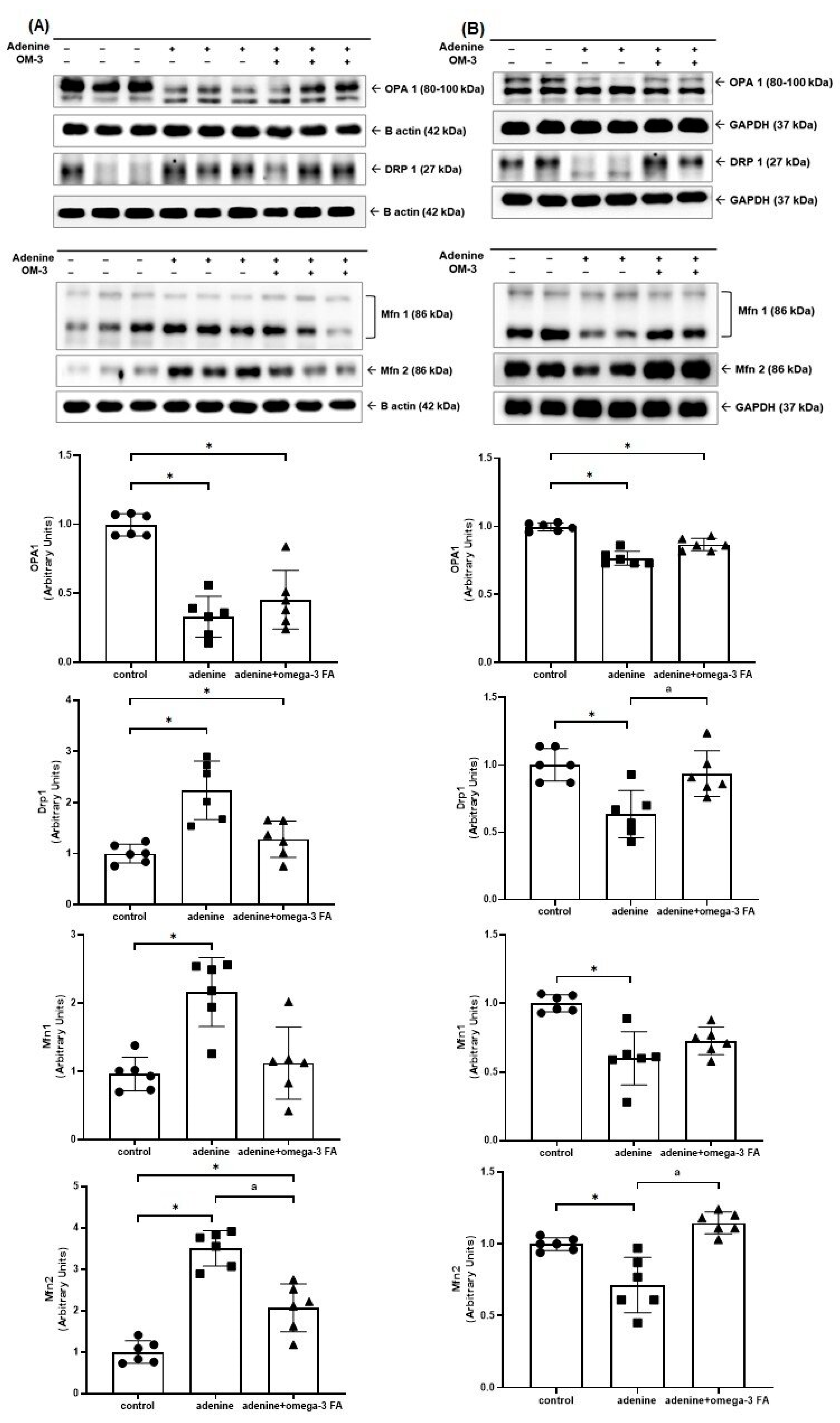 Biomedicines 12 02107 g002