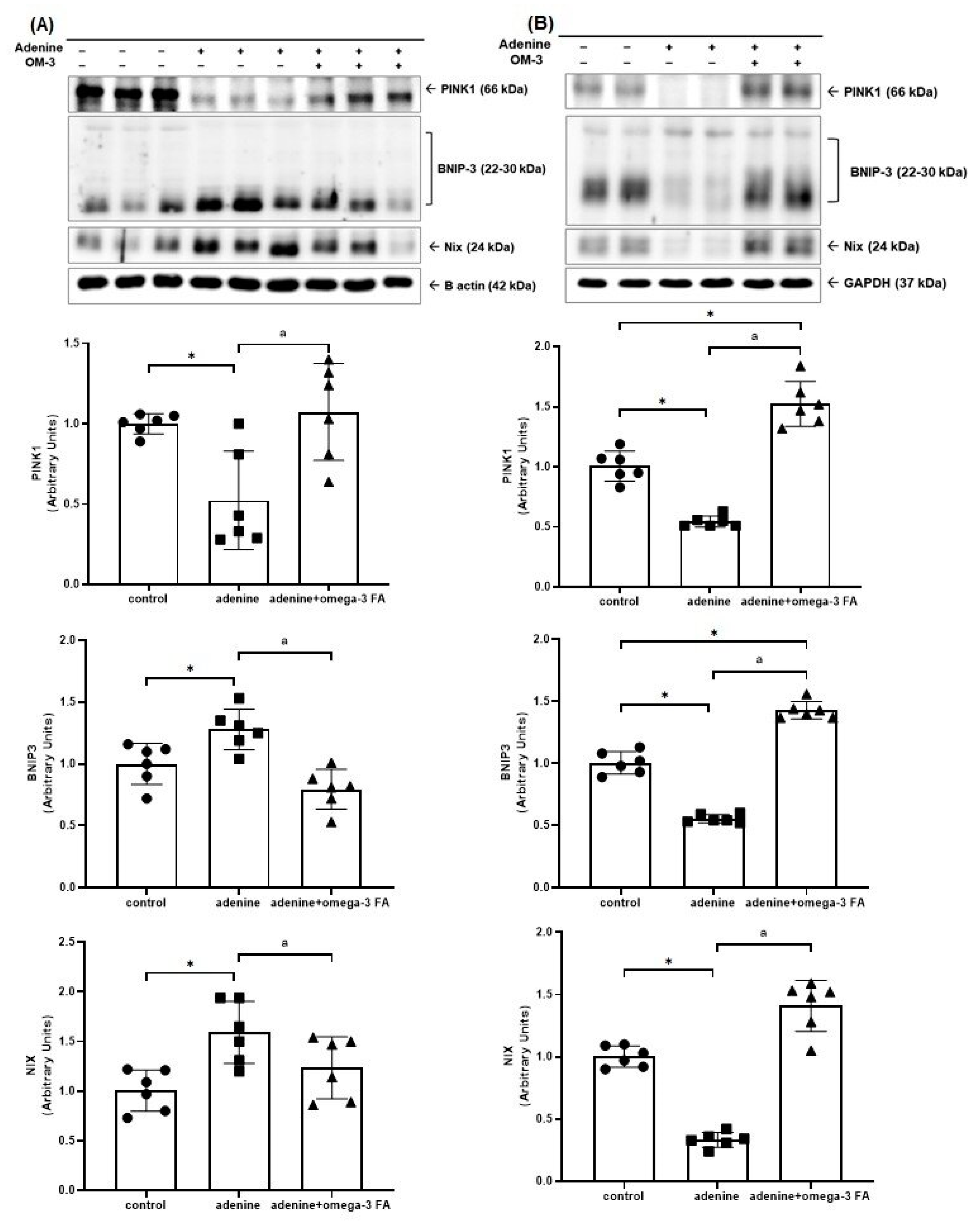 Biomedicines 12 02107 g003