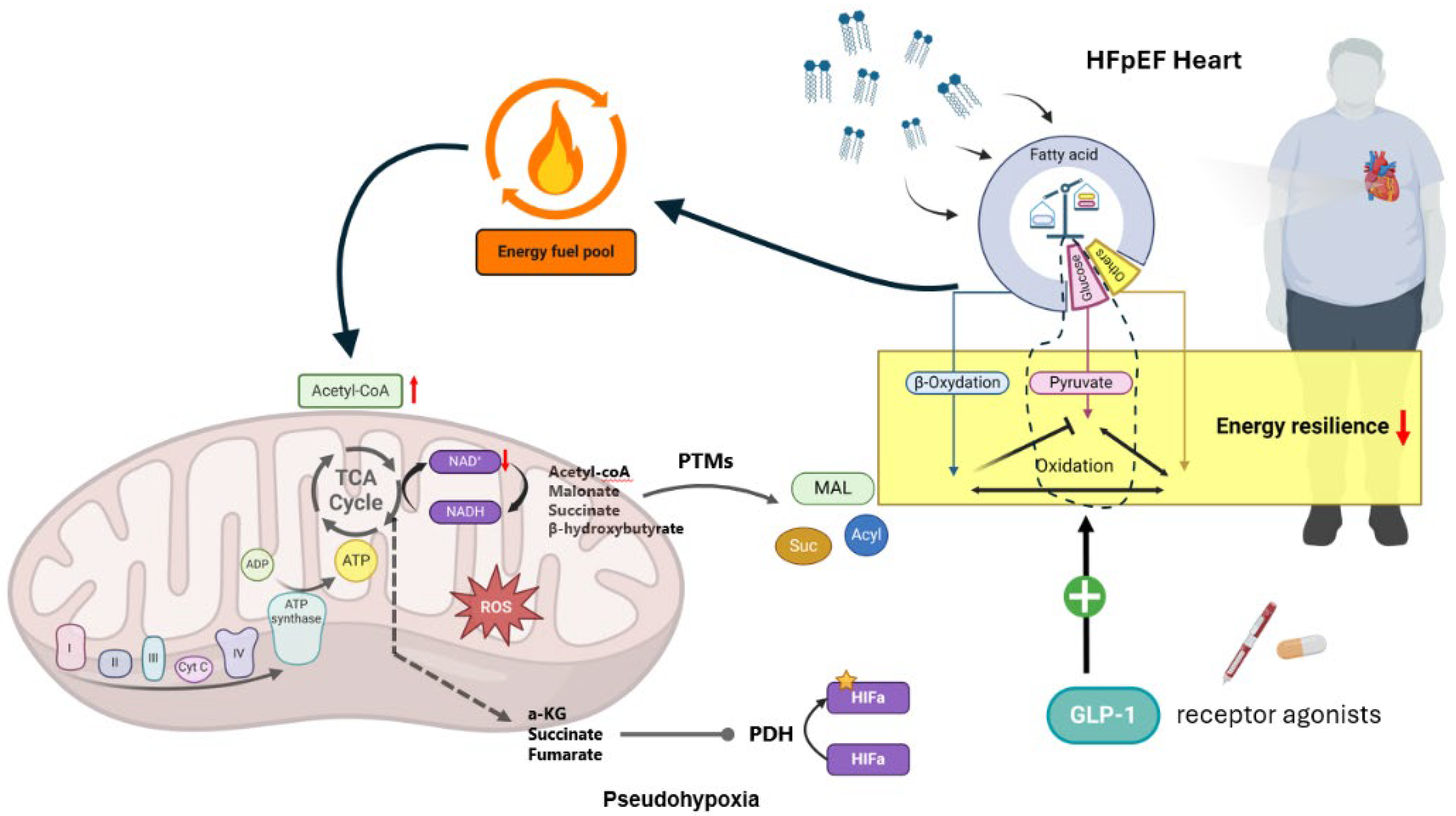 Biomedicines 12 02112 g003