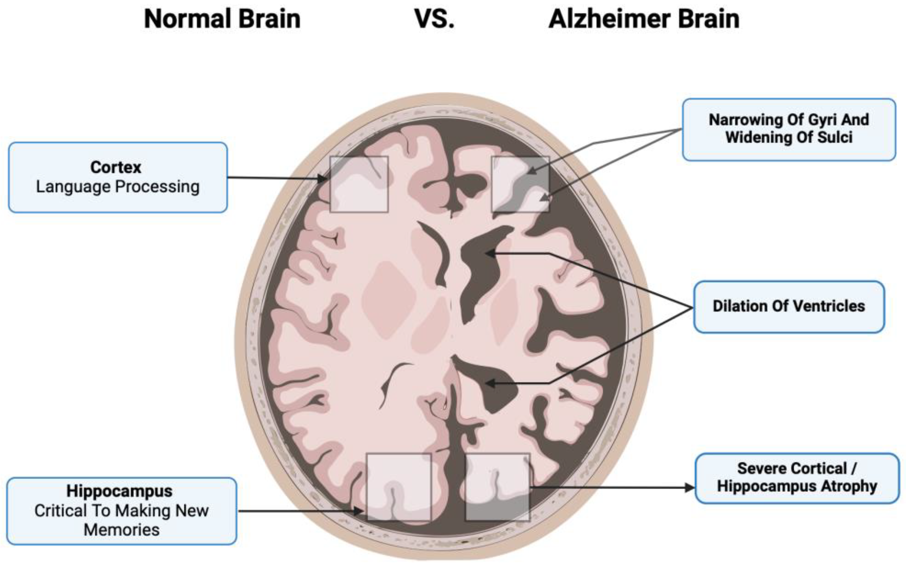 Biomedicines 12 02113 g002
