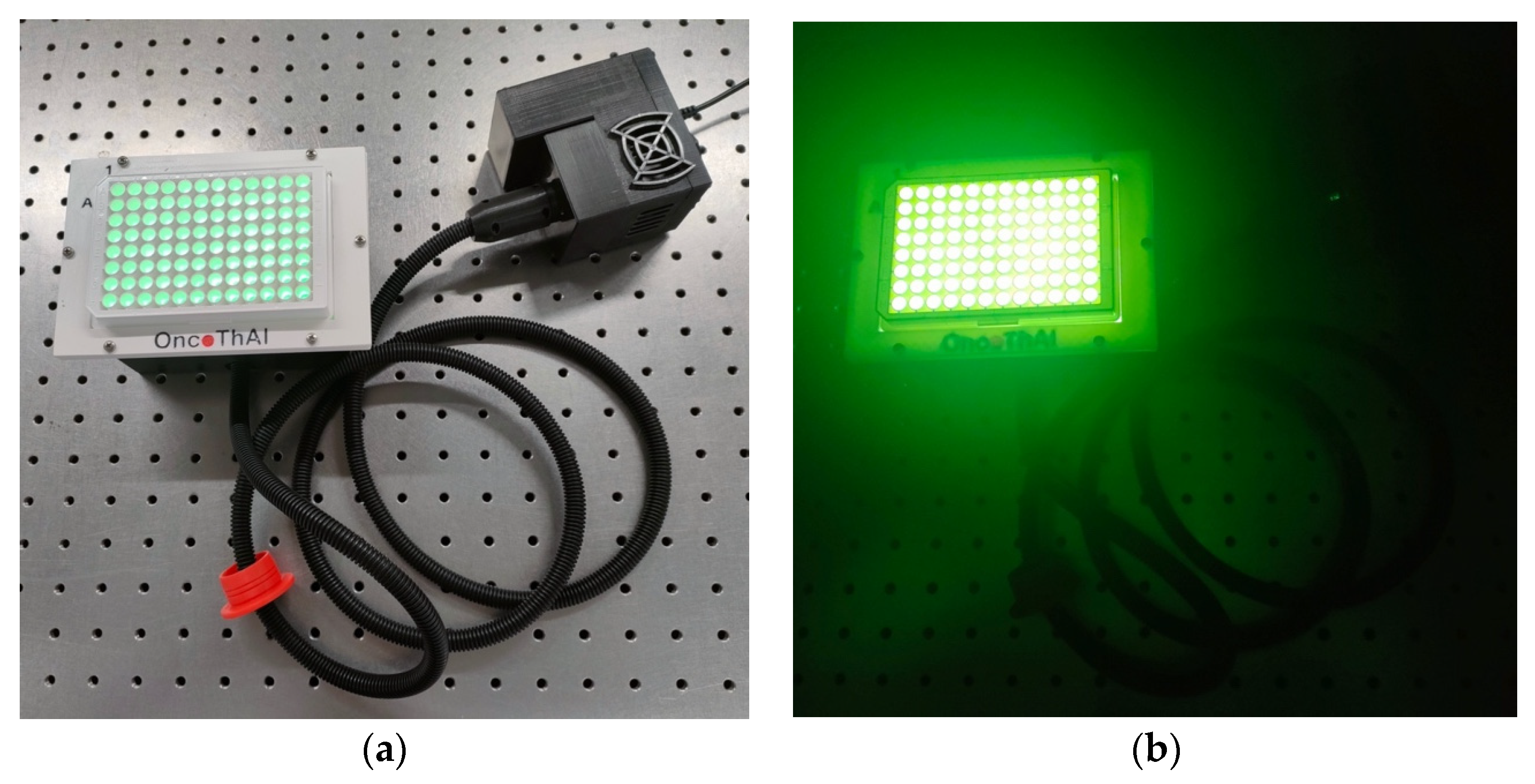 Biomedicines 12 02120 g001 Biomedicines 12 02120 g001