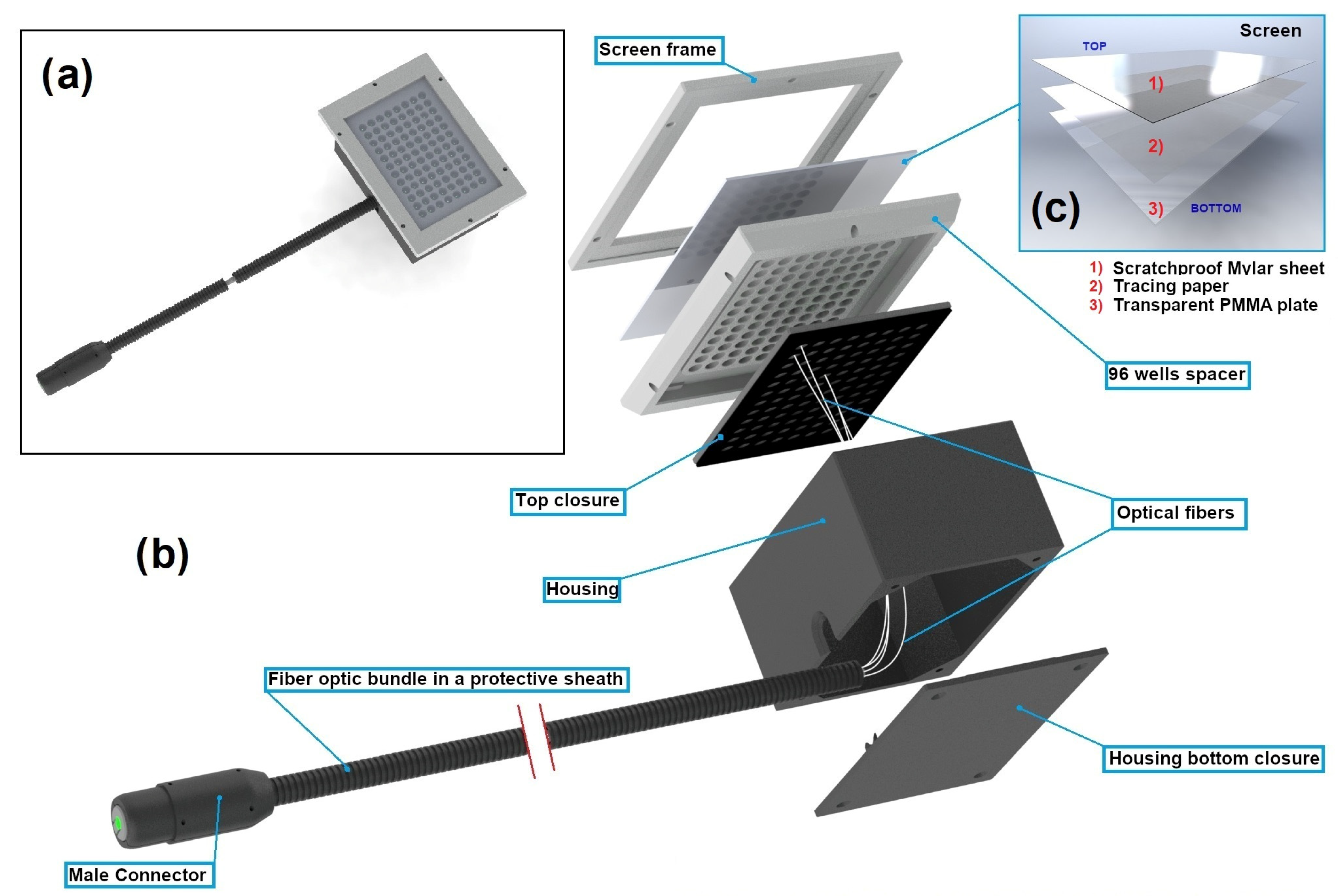 Biomedicines 12 02120 g003 Biomedicines 12 02120 g003