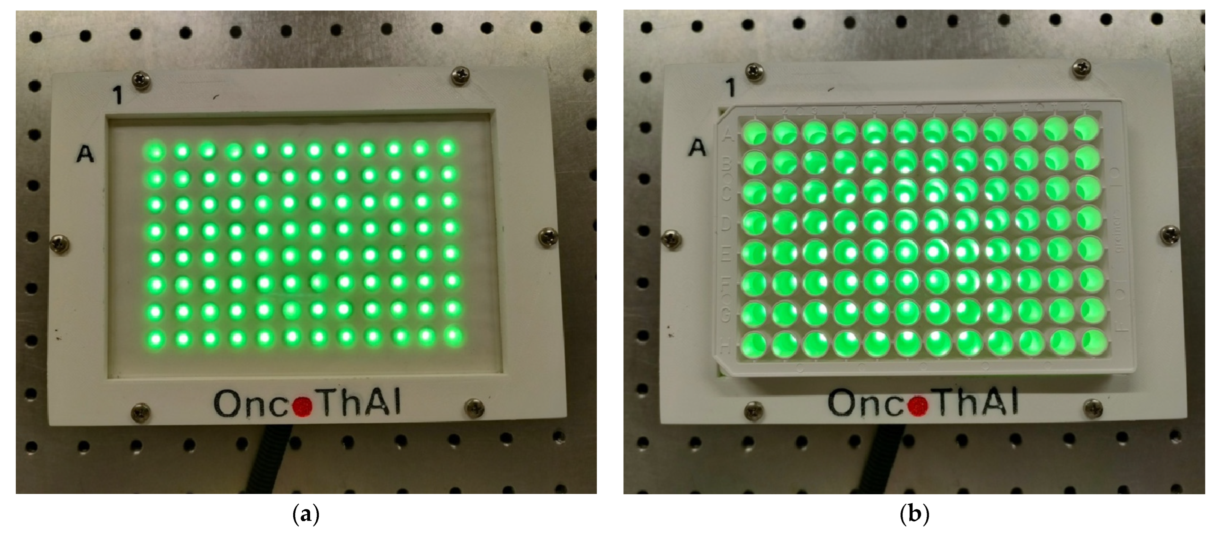 Biomedicines 12 02120 g004 Biomedicines 12 02120 g004