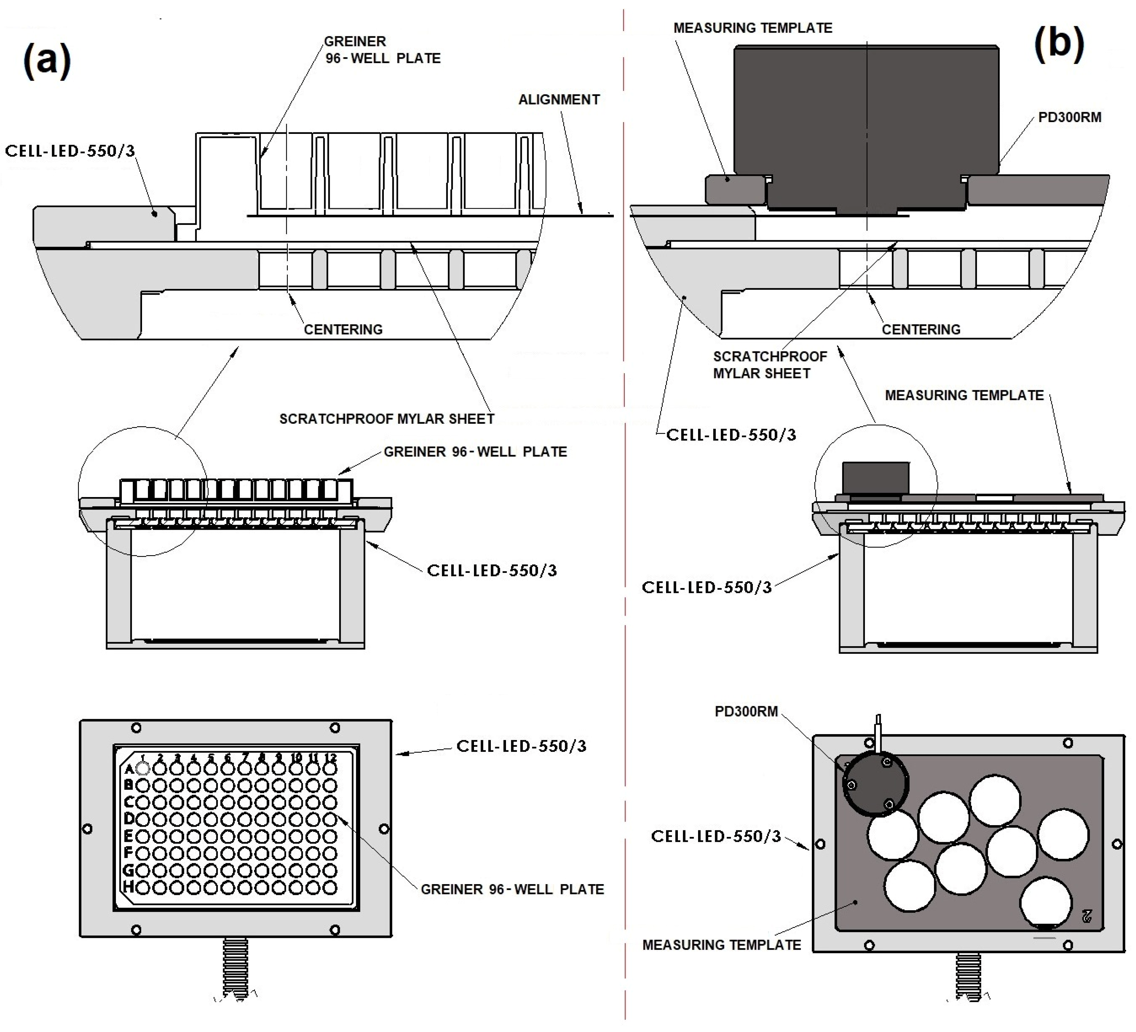 Biomedicines 12 02120 g005 Biomedicines 12 02120 g005