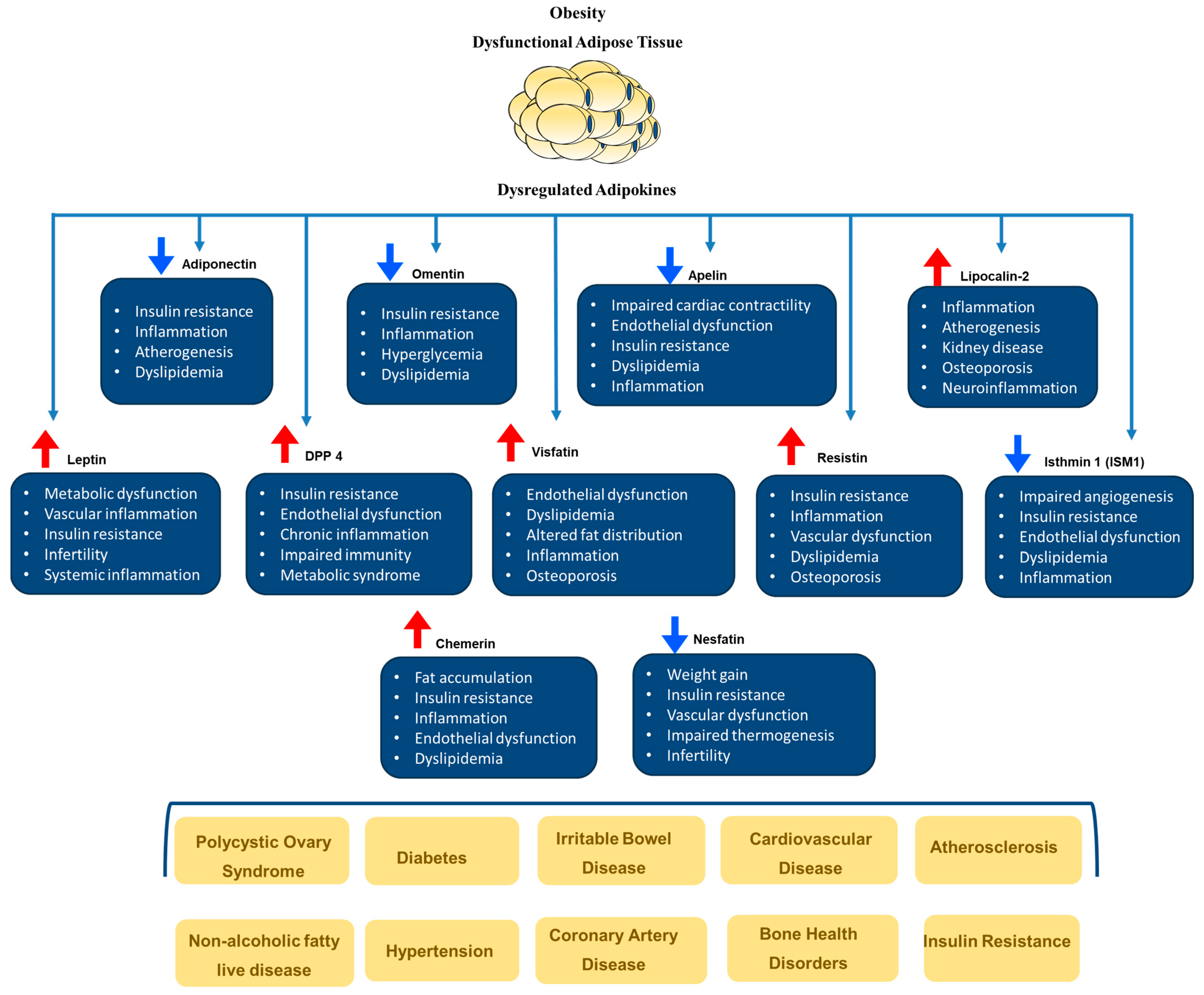 Biomedicines 12 02129 g002 Biomedicines 12 02129 g002