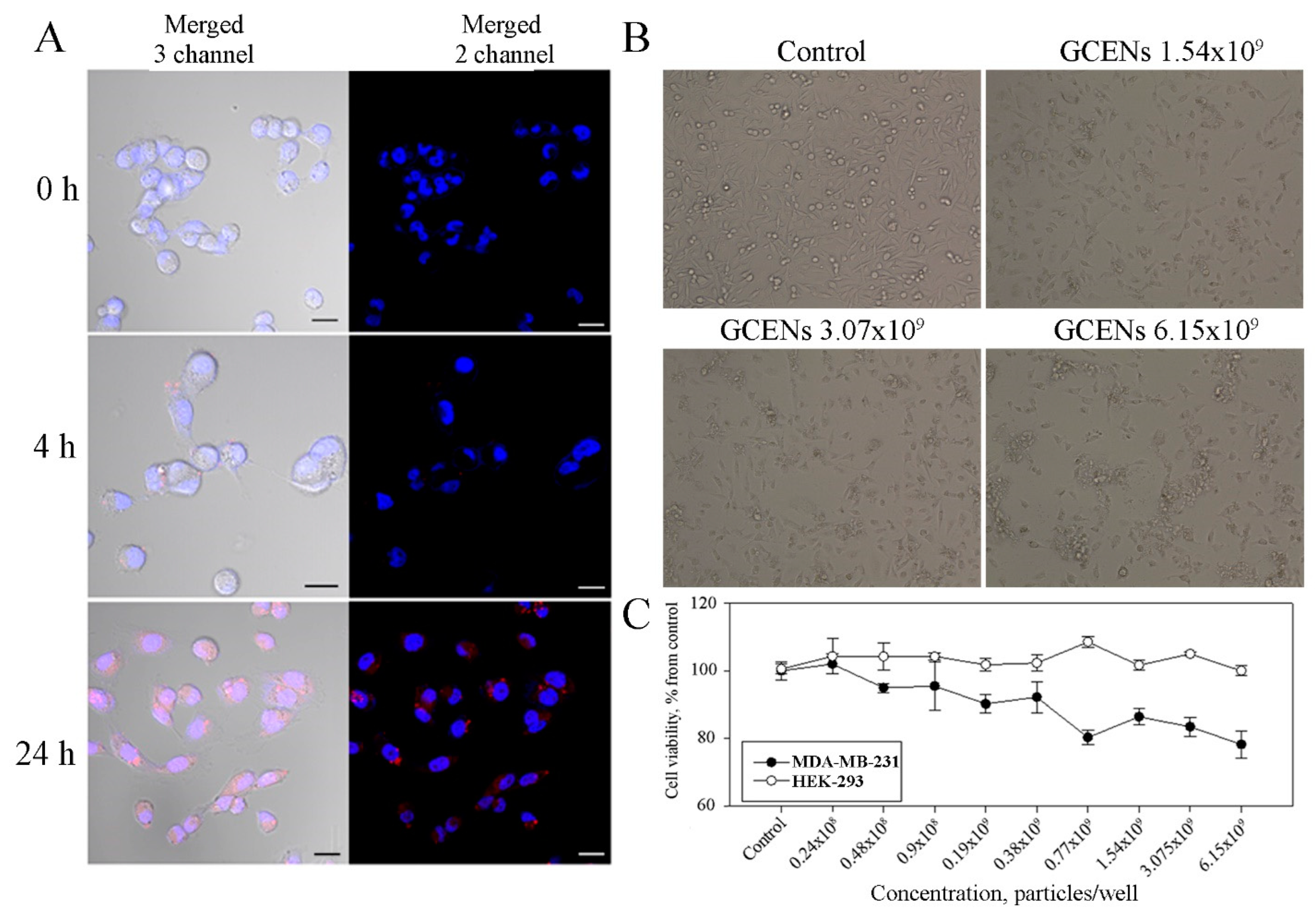 Biomedicines 12 02142 g005