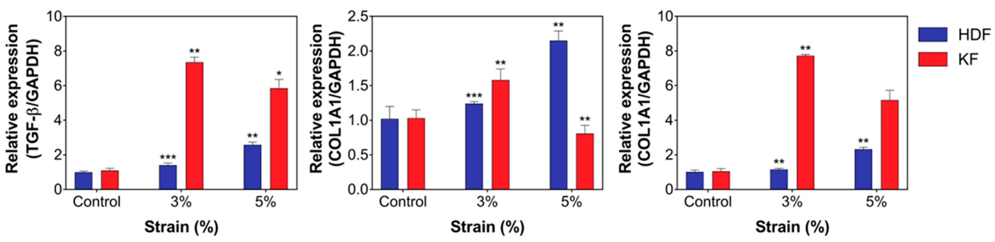 Biomedicines 12 02169 g003