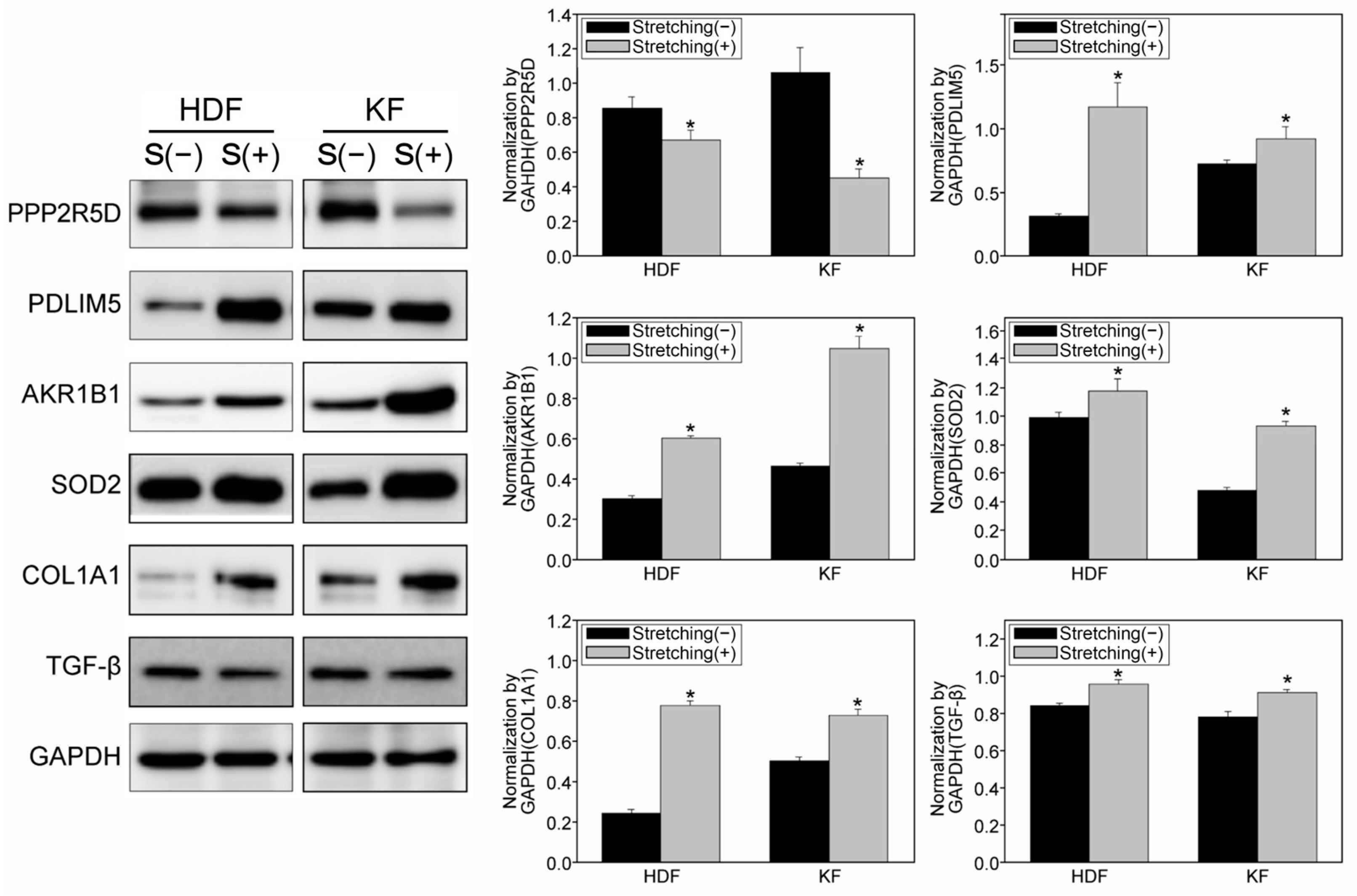 Biomedicines 12 02169 g004