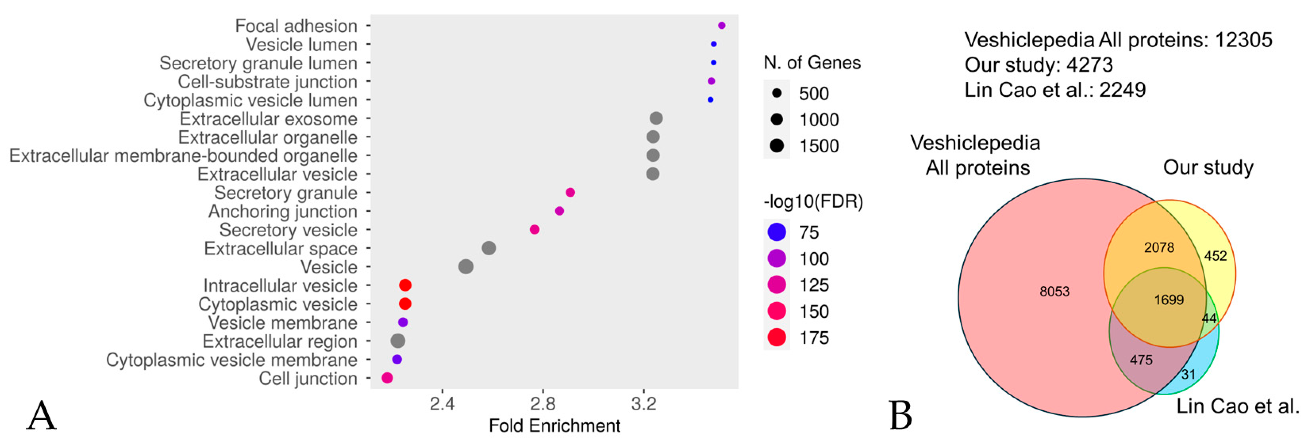Biomedicines 12 02172 g001